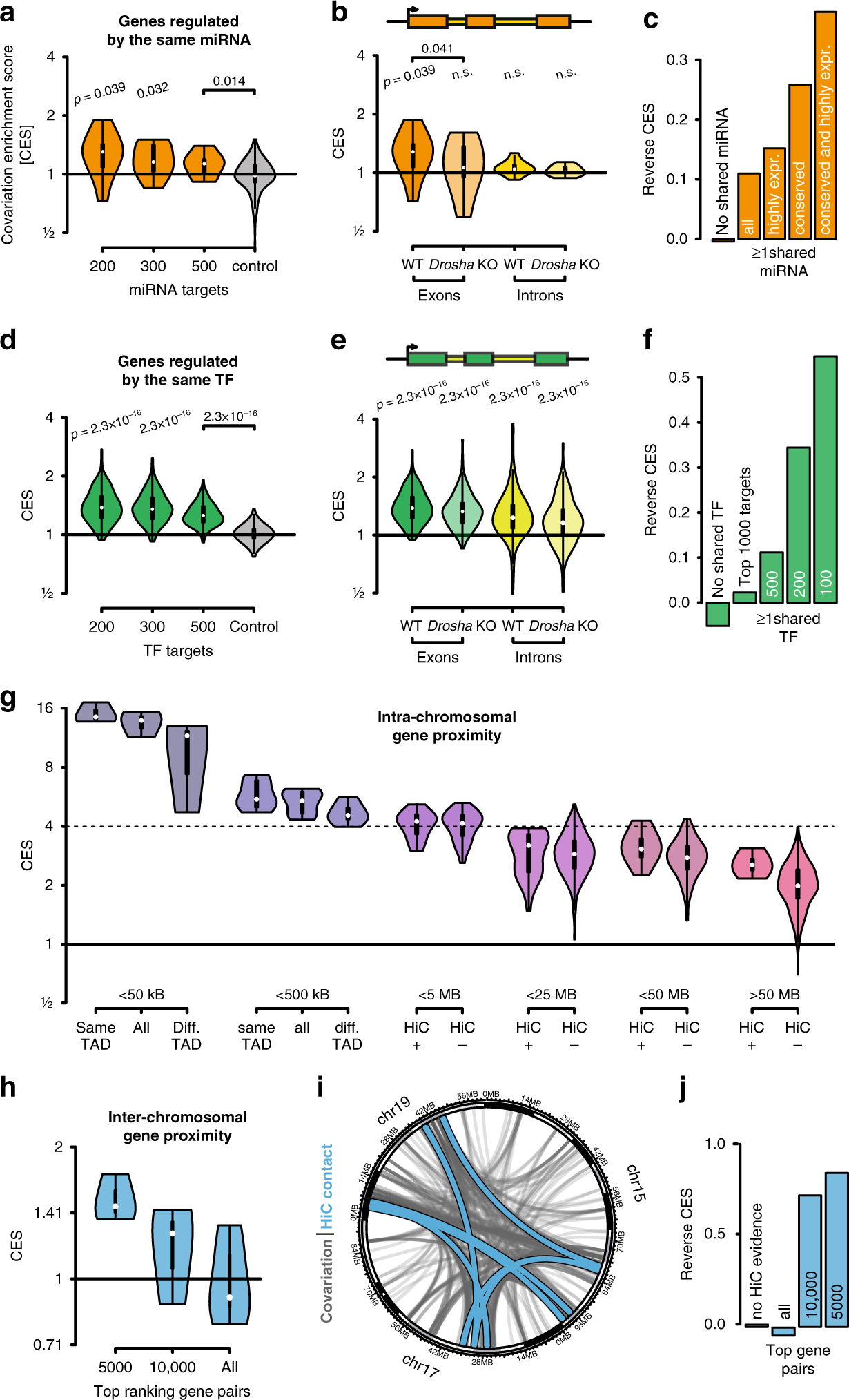 Fig. 2: miRNAs, transcription factors and nuclear organization define covariations.