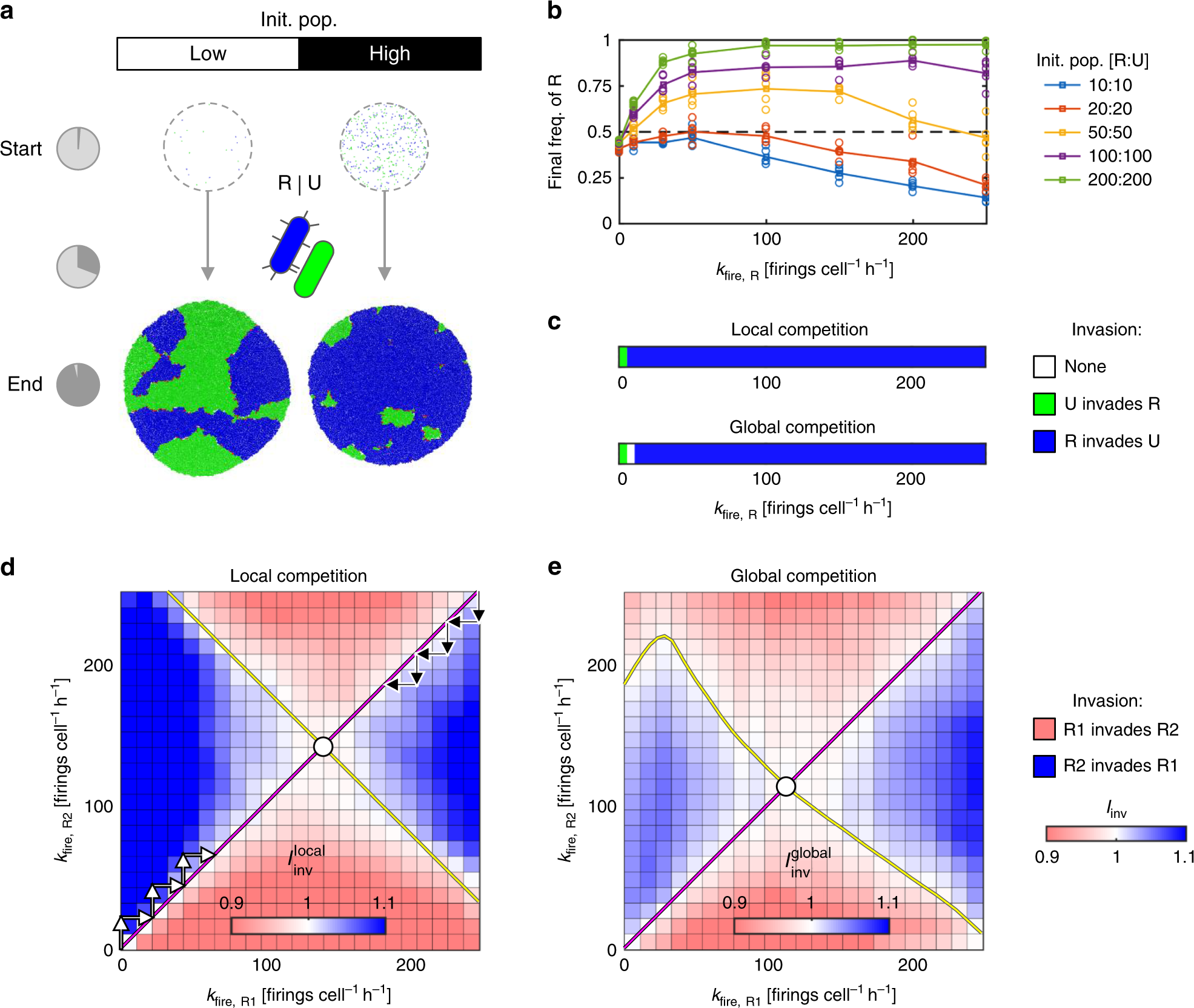 The Evolution Of Tit For Tat In Bacteria Via The Type Vi Secretion System Nature Communications