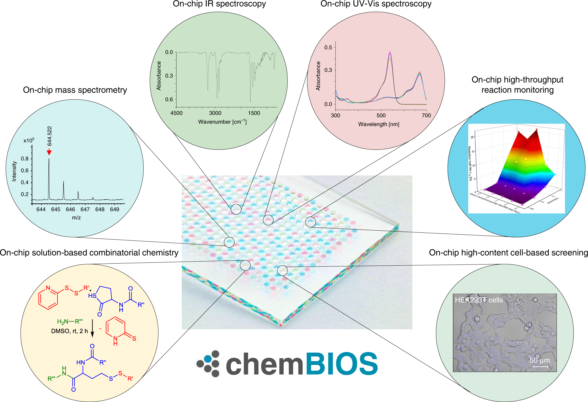 Surface enhanced raman spectroscopy. Spectroscopy journals. Single particle spectrum for aho. Spectroscopy poster. спектр ртути линейчатый спектр.