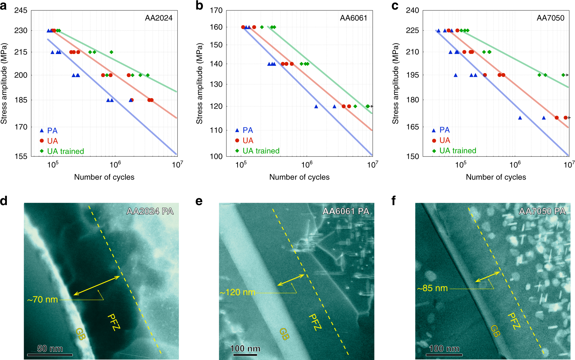 Fig. 2: High cycle fatigue (HCF) S-N curves and precipitate-free zones (PFZ’s) of the under aged (UA), peak aged (PA), and trained alloys.
