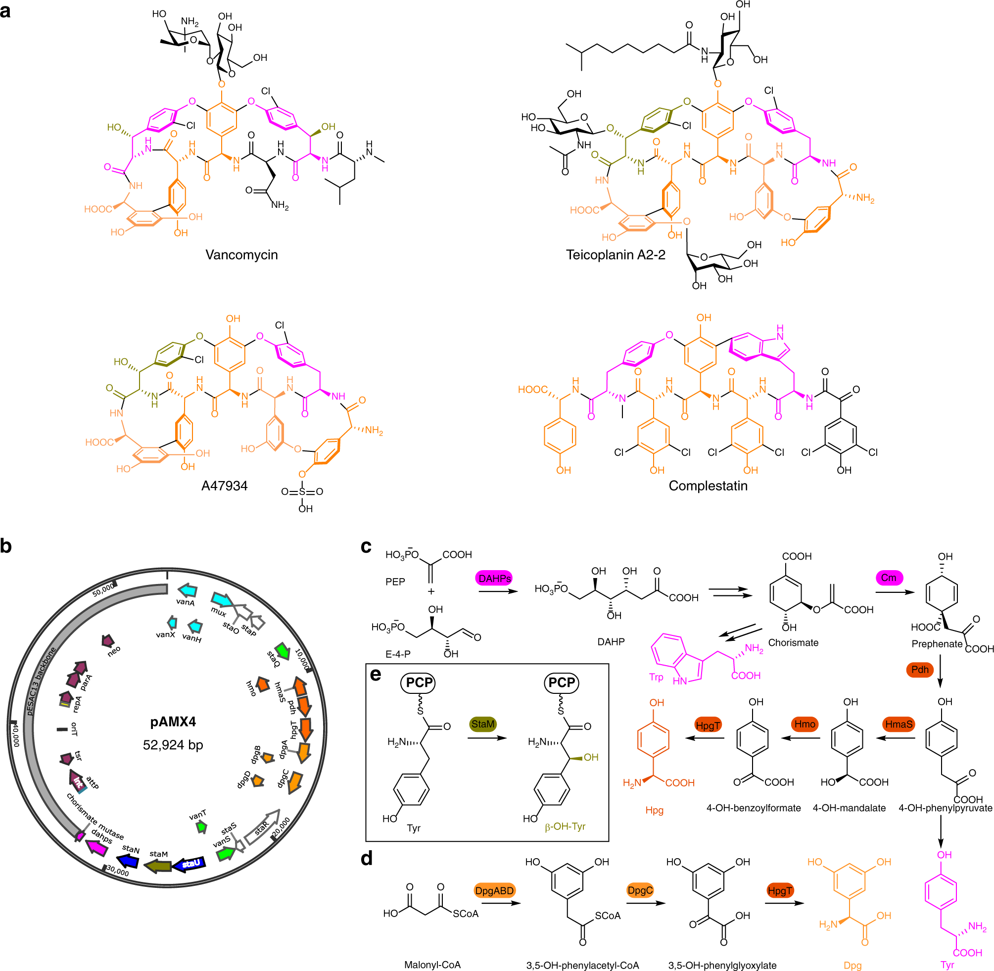 Gpahex A Synthetic Biology Platform For Type Iv V Glycopeptide Antibiotic Production And Discovery Nature Communications