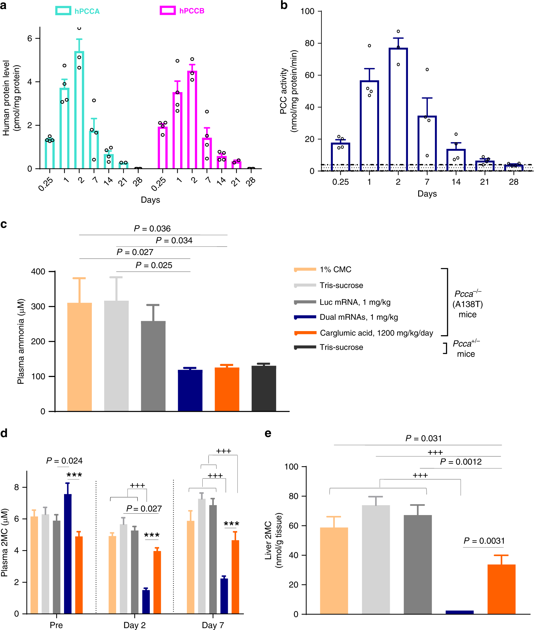 Fig. 2: Kinetics of dual mRNAs-encoded hepatic PCC and comparison of dual mRNA therapy with carglumic acid in PA mice.