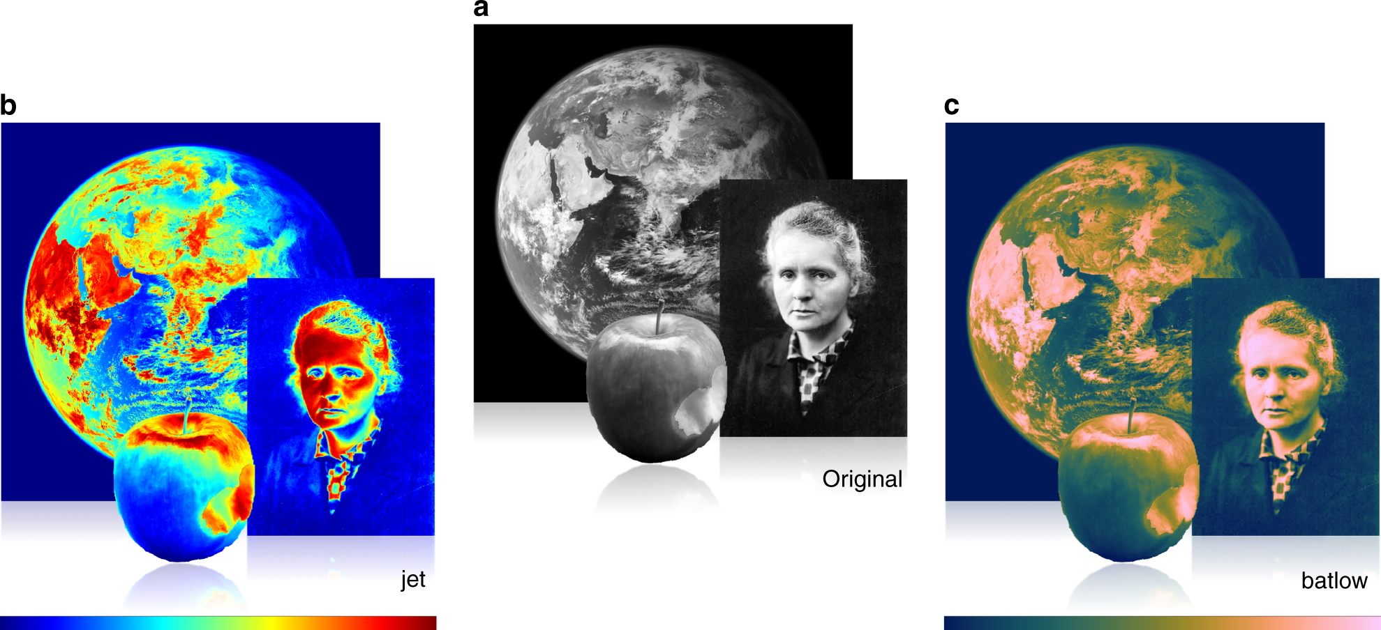 Best Color Palettes for Scientific Figures and Data Visualizations