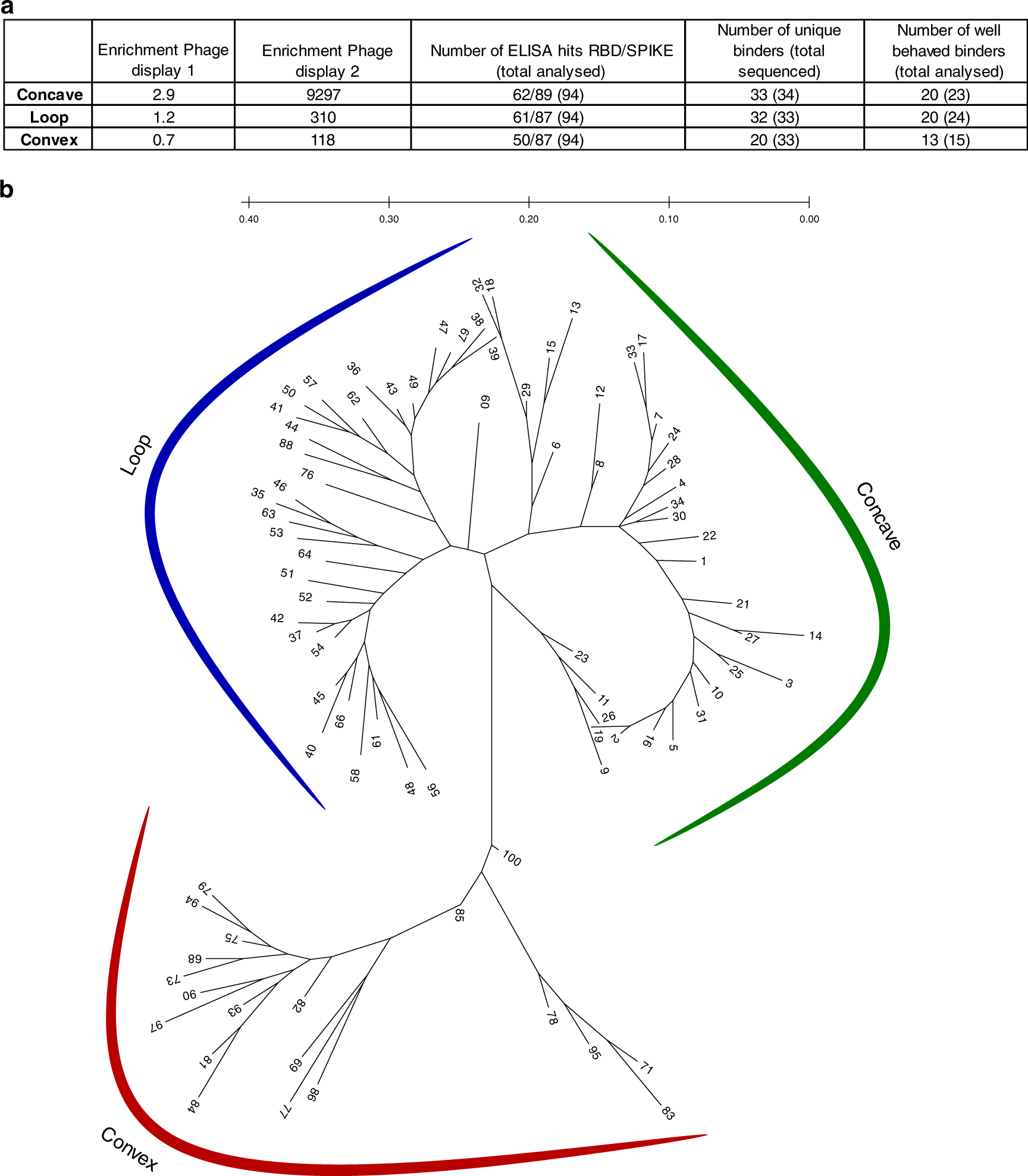 Fig. 1: Selection of sybodies against SARS-CoV-2 RBD.
