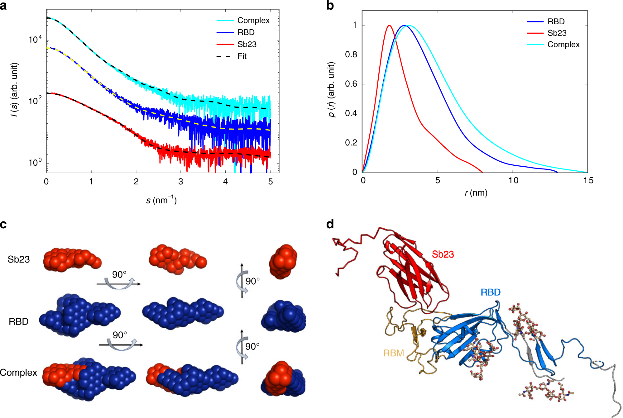 Fig. 4: SAXS analysis of the Sb23–RBD complexes.