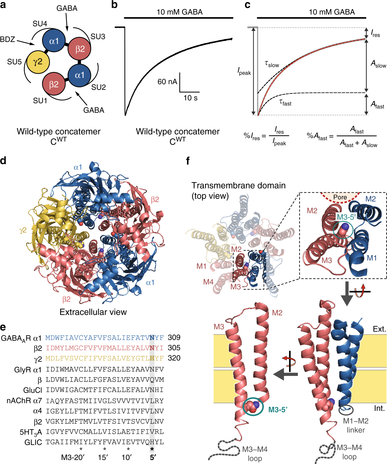 The Desensitization Pathway Of Gabaa Receptors One Subunit At A Time Nature Communications