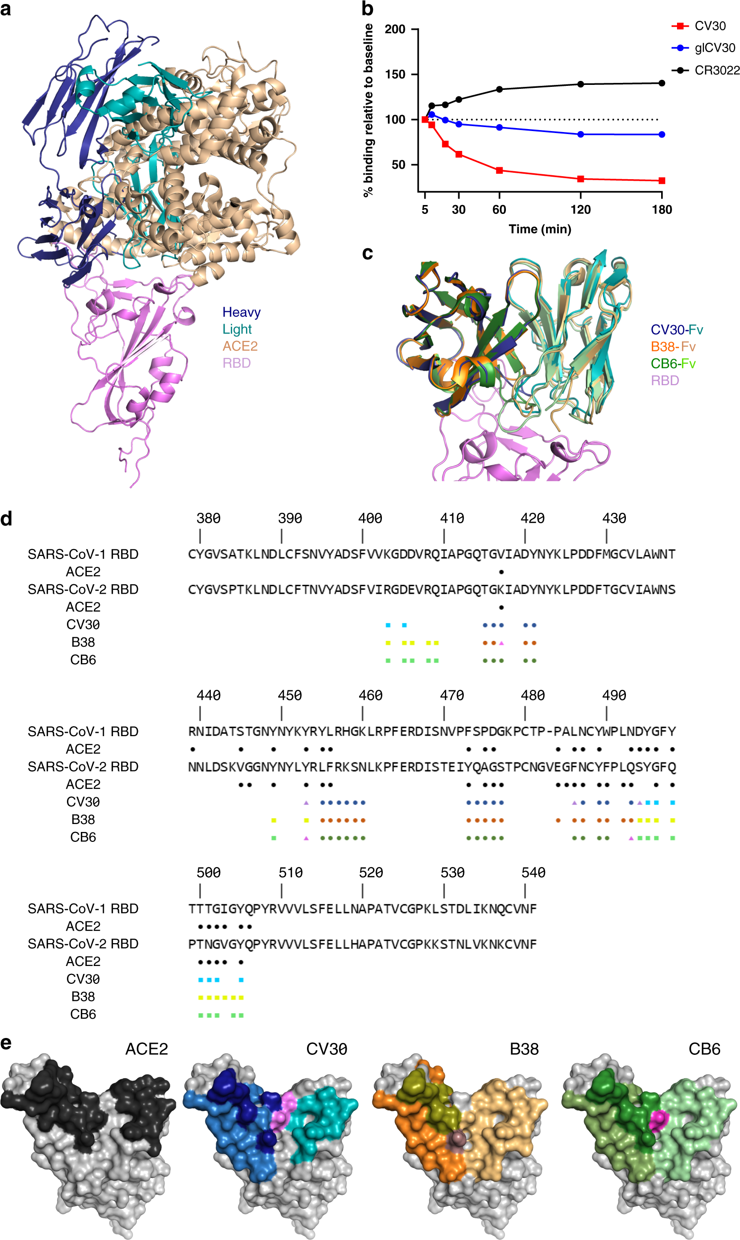 Fig. 2: Comparison of the CV30 epitope against ACE2 and other neutralizing antibodies.