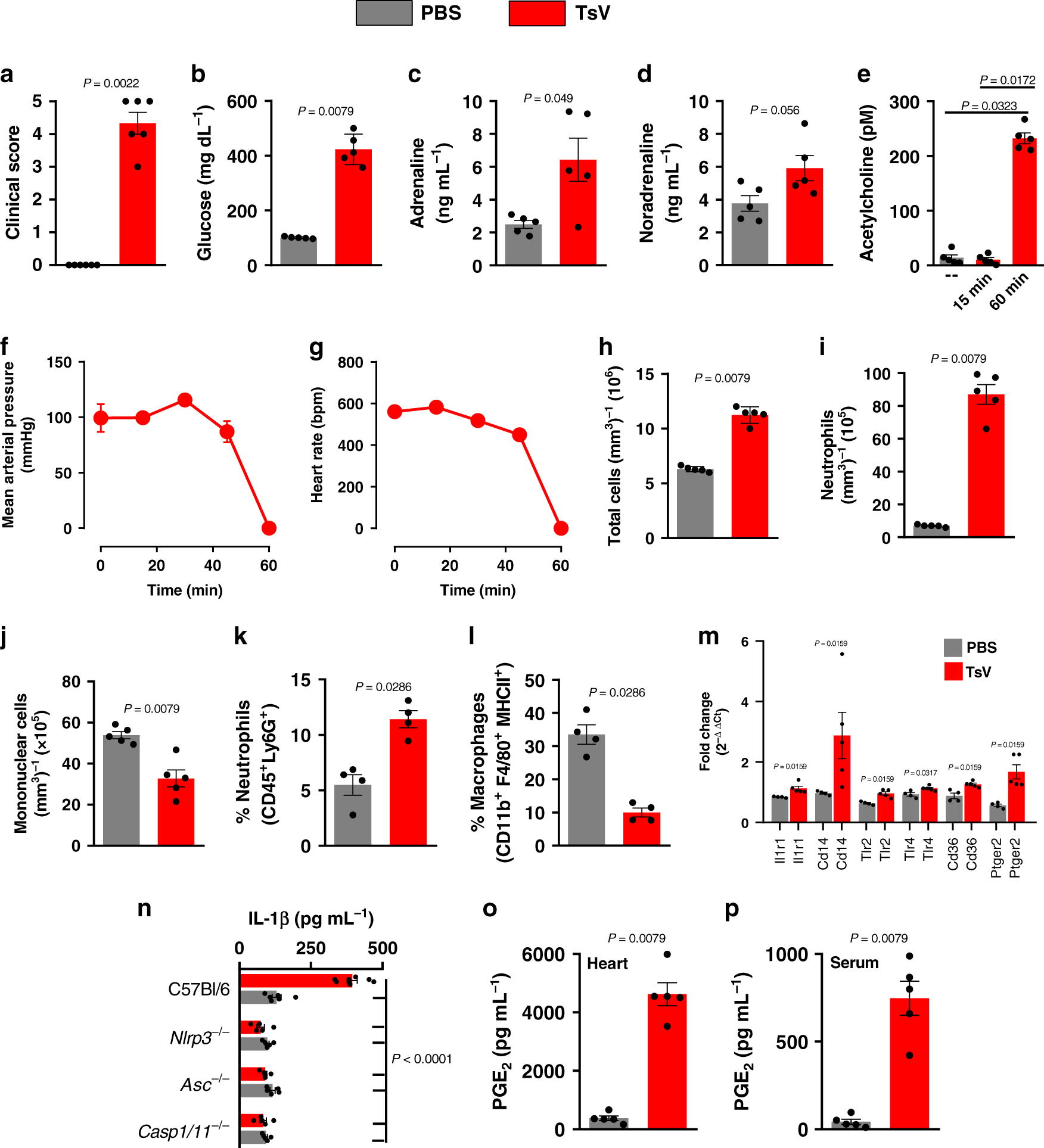 Interleukin 1 Receptor Induced Pge2 Production Controls Acetylcholine Mediated Cardiac Dysfunction And Mortality During Scorpion Envenomation Nature Communications