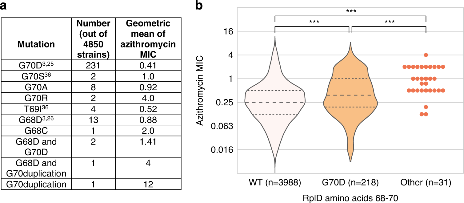 Fig. 3: Varied RplD macrolide binding site mutations are associated with increased azithromycin MICs.