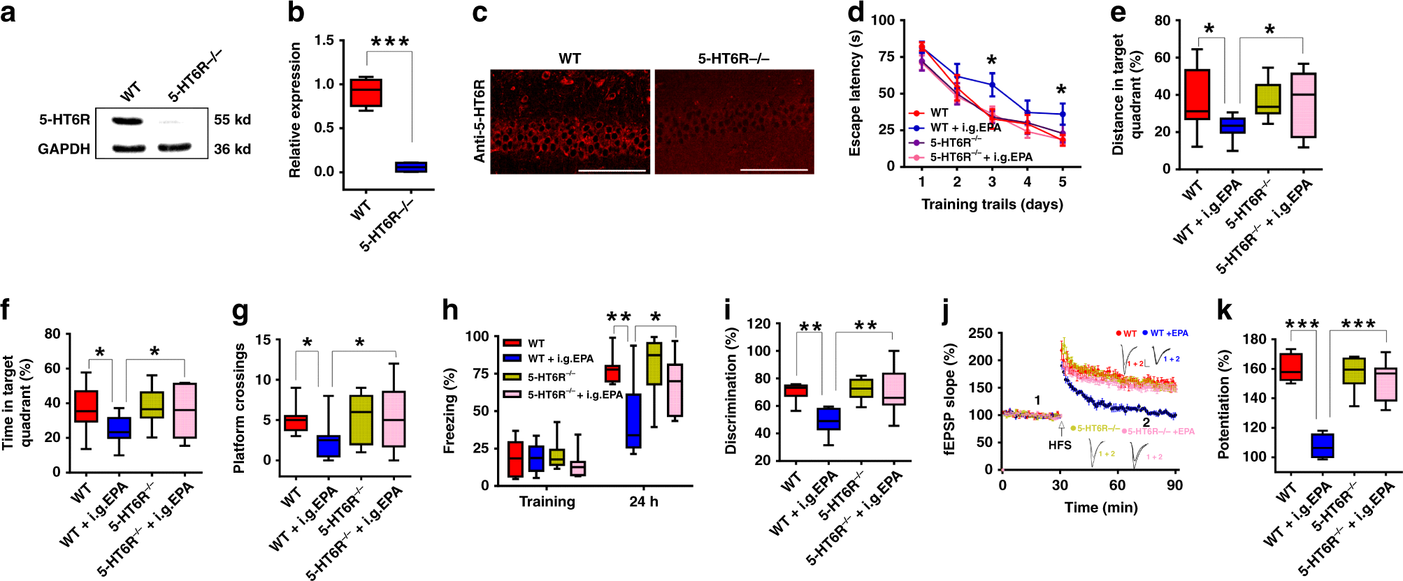 Fig. 5: The impairing effect of EPA disappeared in 5-HT6R KO mice.