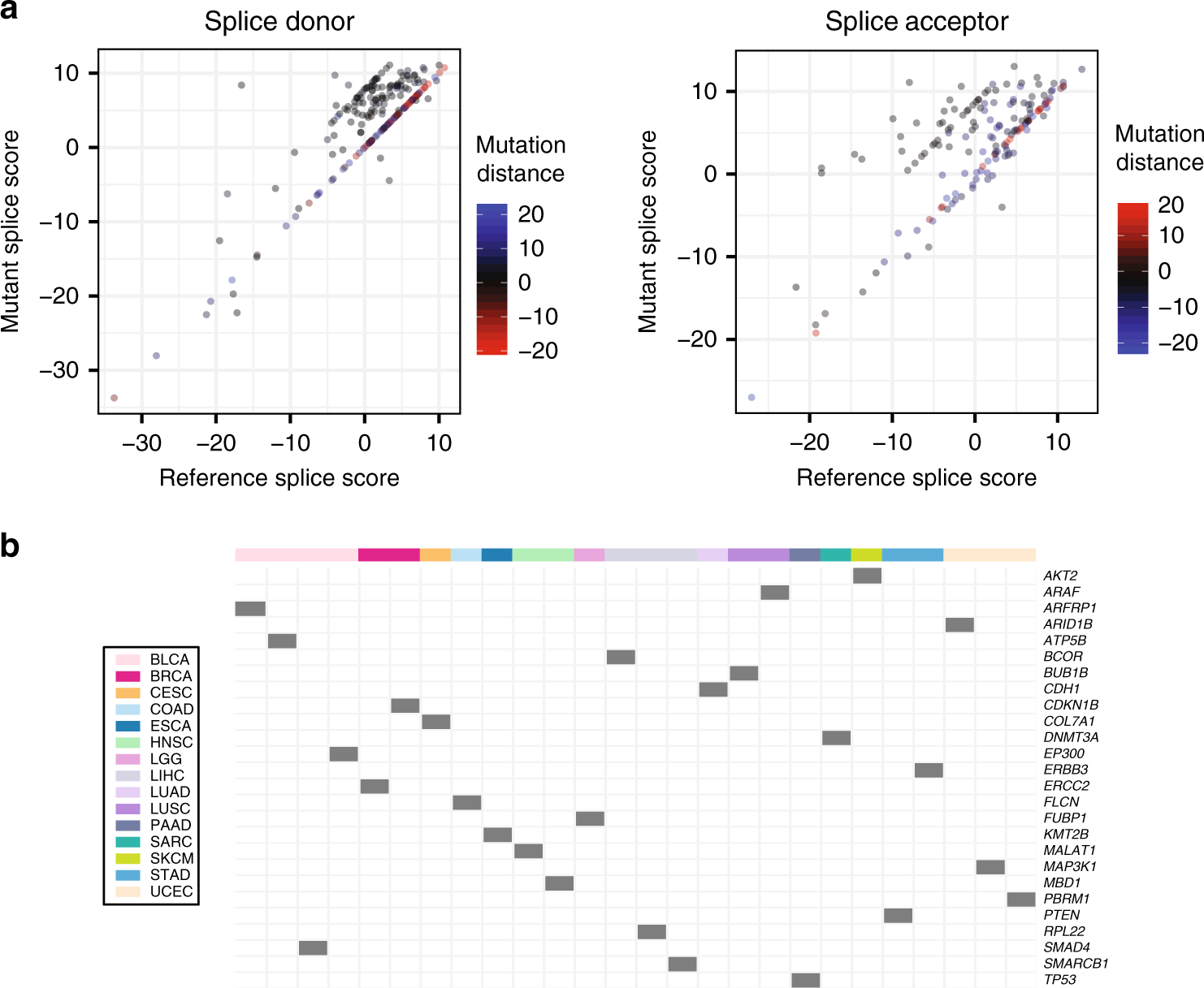 Fig. 5: Characterization of nc-SCMs from TCGA WES data.