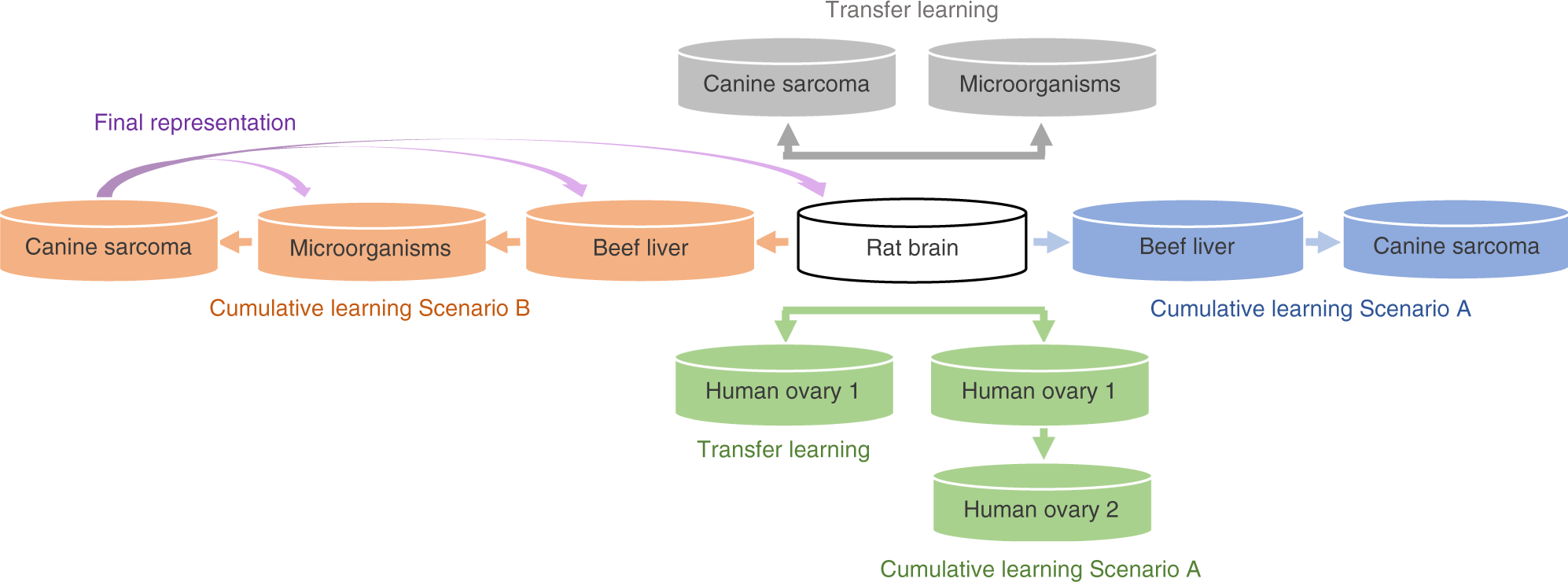 A survey on heterogeneous transfer learning