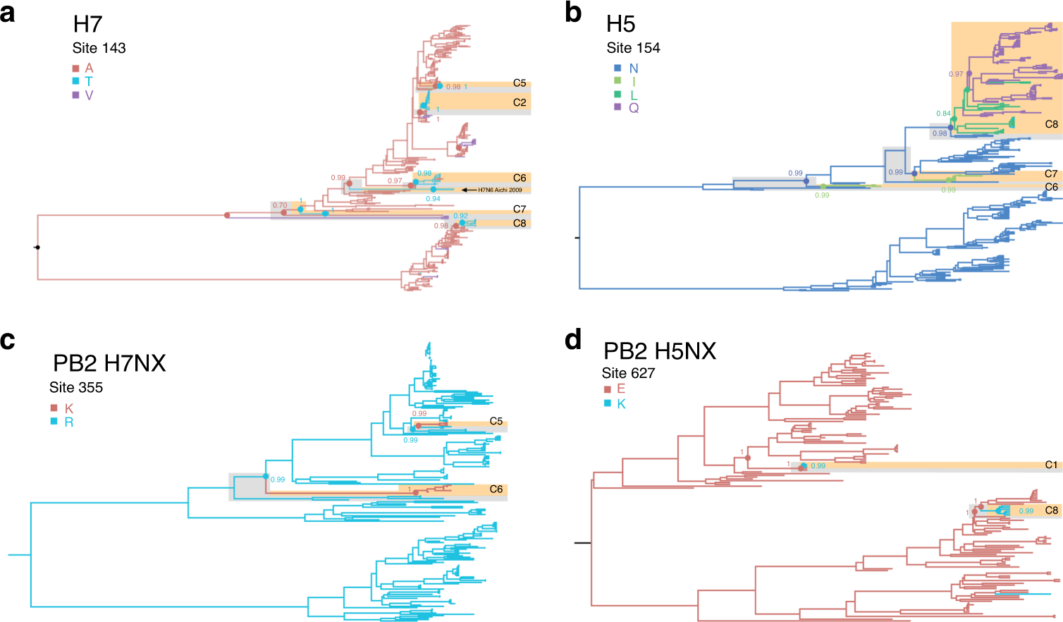 Fig. 3: Reconstruction of amino acid evolution at selected HAPMs.