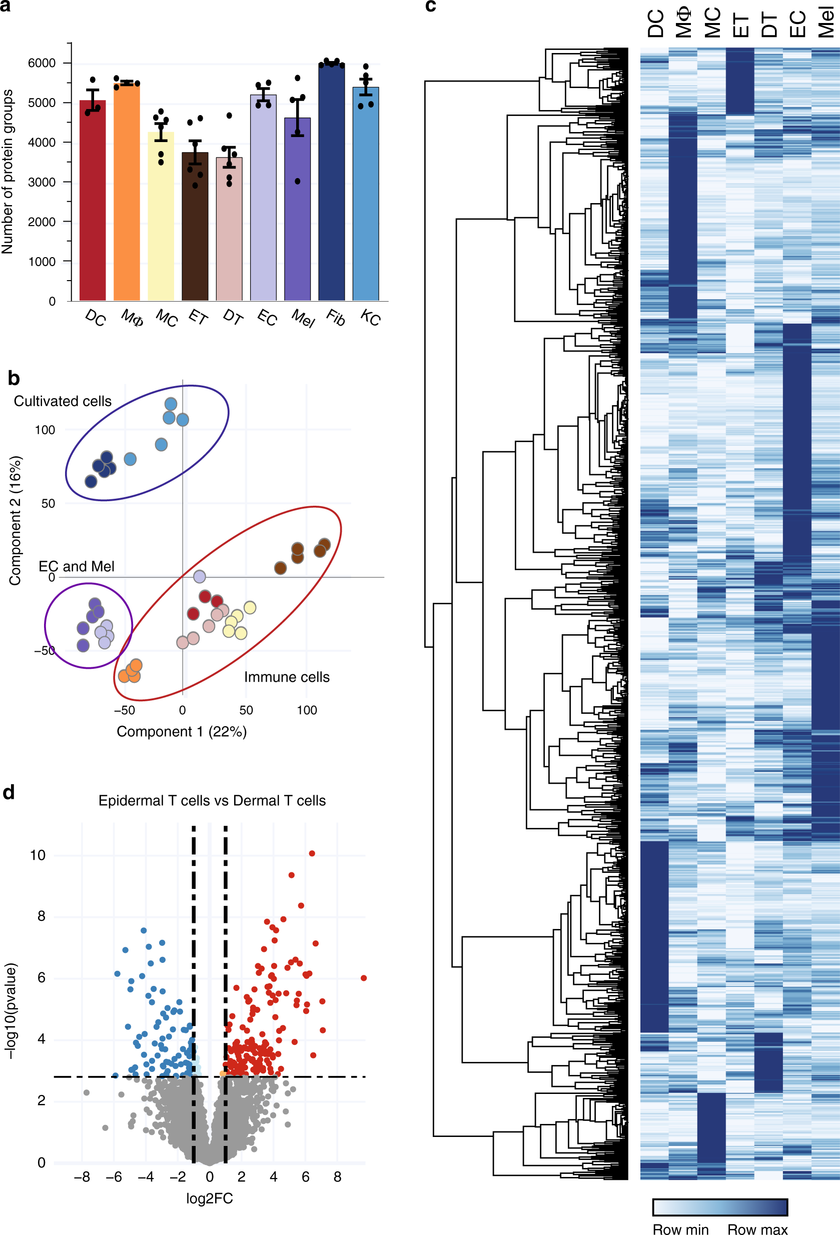 Fig. 5: In-depth MS-based proteomic analysis of skin-associated cellular subsets.