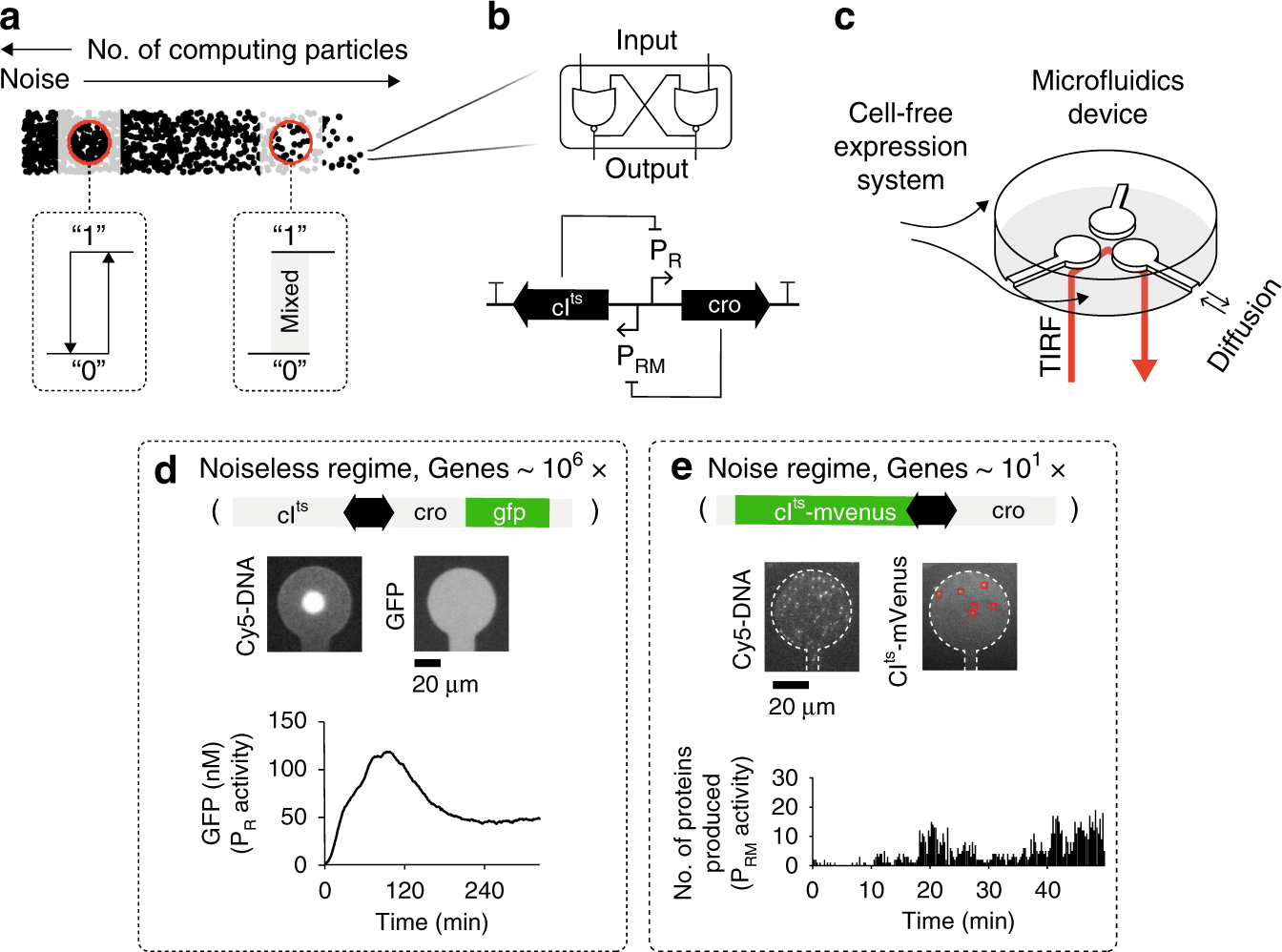 From Deterministic To Fuzzy Decision Making In Artificial Cells Nature Communications From Deterministic To Fuzzy Decision Making In Artificial Cells Nature Communications