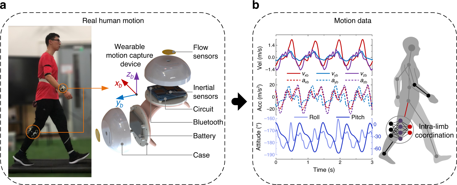 A wearable motion capture device able to detect dynamic motion of human  limbs | Nature Communications