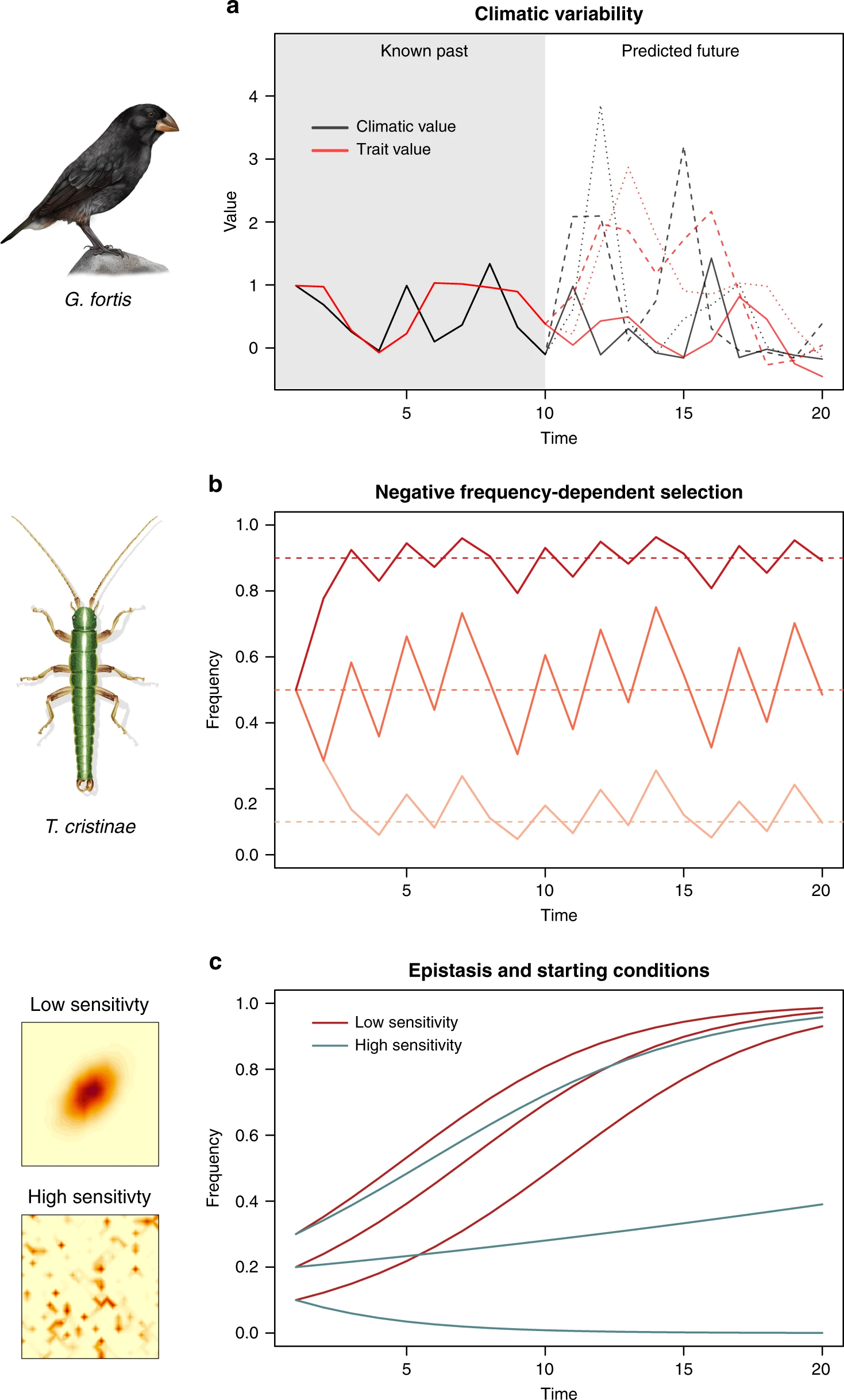 https://media.springernature.com/full/springer-static/image/art%3A10.1038%2Fs41467-020-19437-x/MediaObjects/41467_2020_19437_Fig3_HTML.png?as=webp