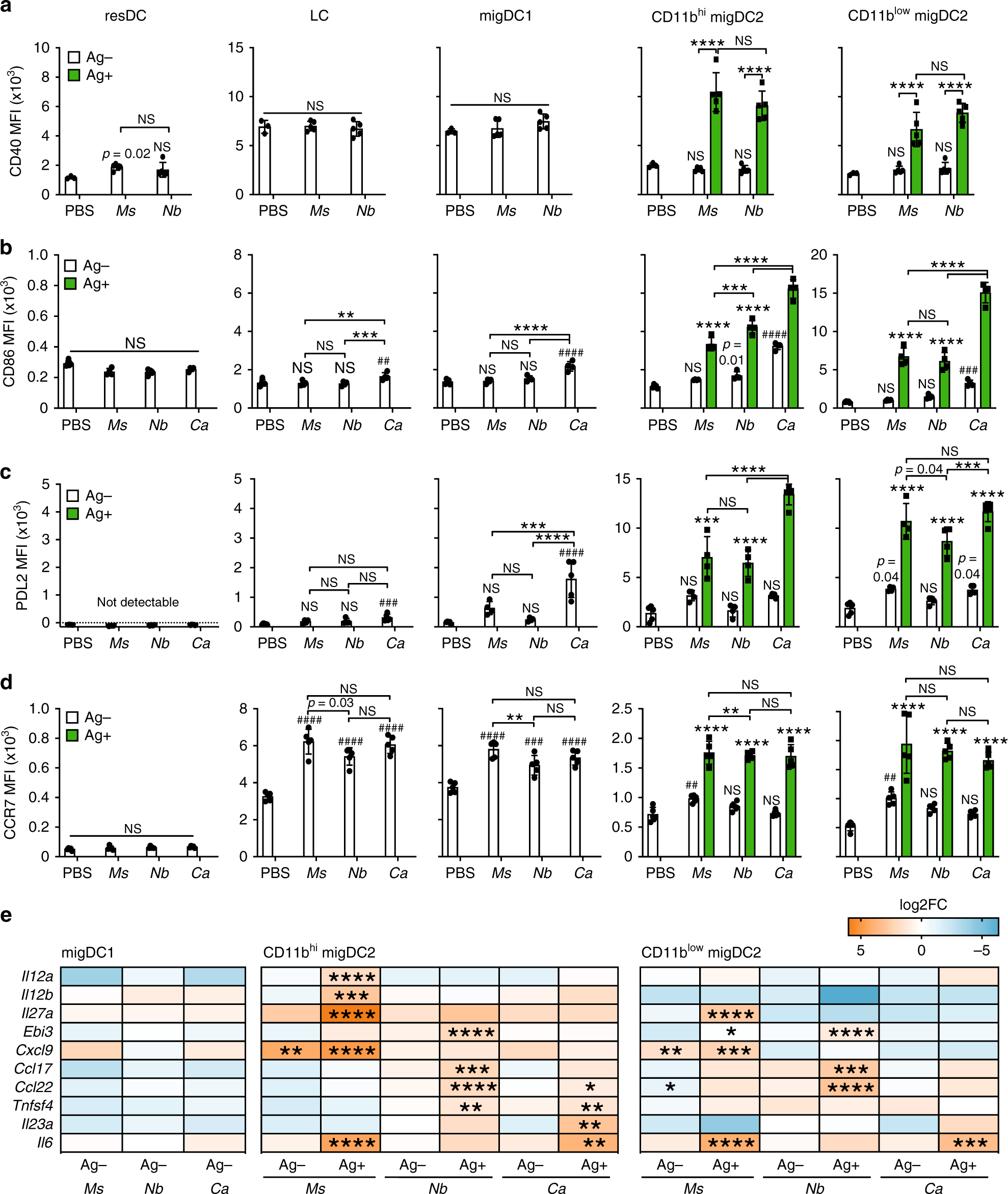 Fig. 2: Ag+ DC express high levels of activation markers and transcripts associated with Th cell polarization.