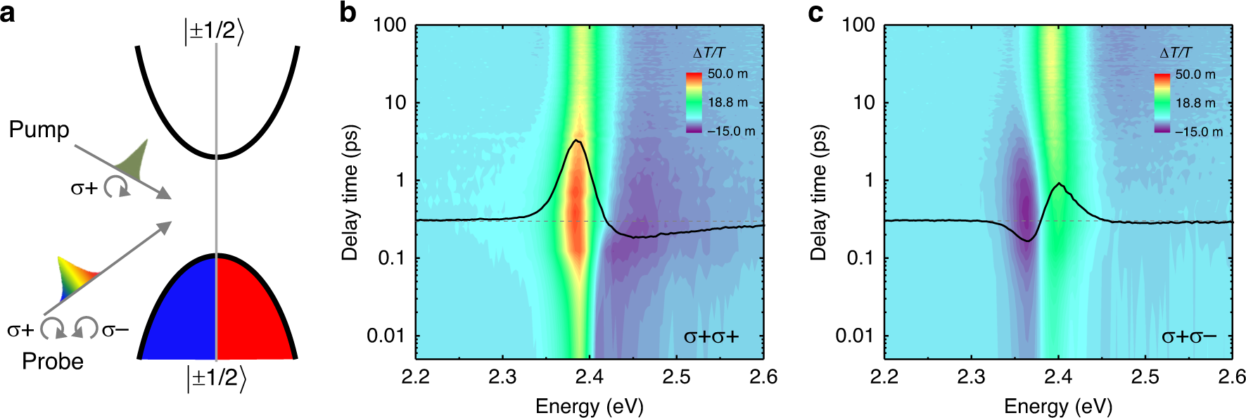 Transient Circular Dichroism And Exciton Spin Dynamics In All Inorganic Halide Perovskites Nature Communications