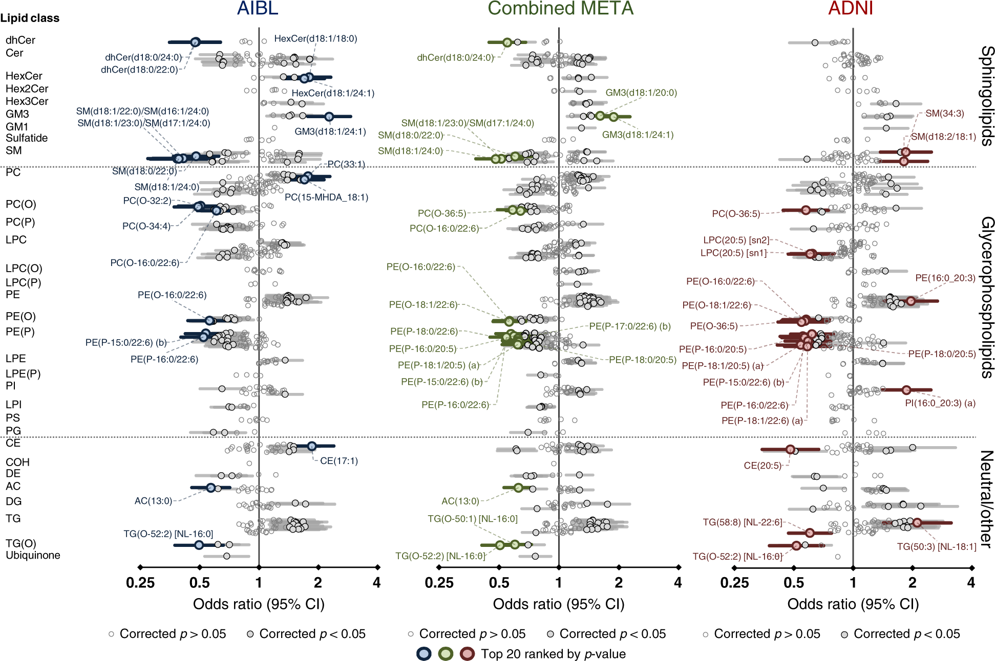 Fig. 3: Associations of individual lipid species with prevalent Alzheimer’s disease.