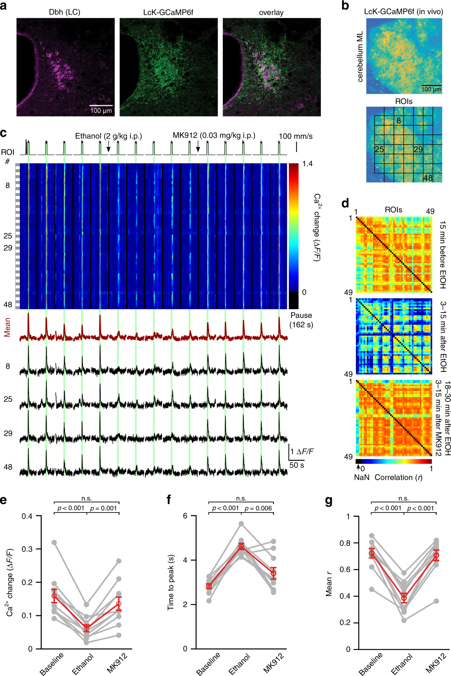 Fig. 8: Ethanol inhibition of vigilance-dependent Ca2+ elevations in NE terminals accounts for loss of BG Ca2+ responsiveness.
