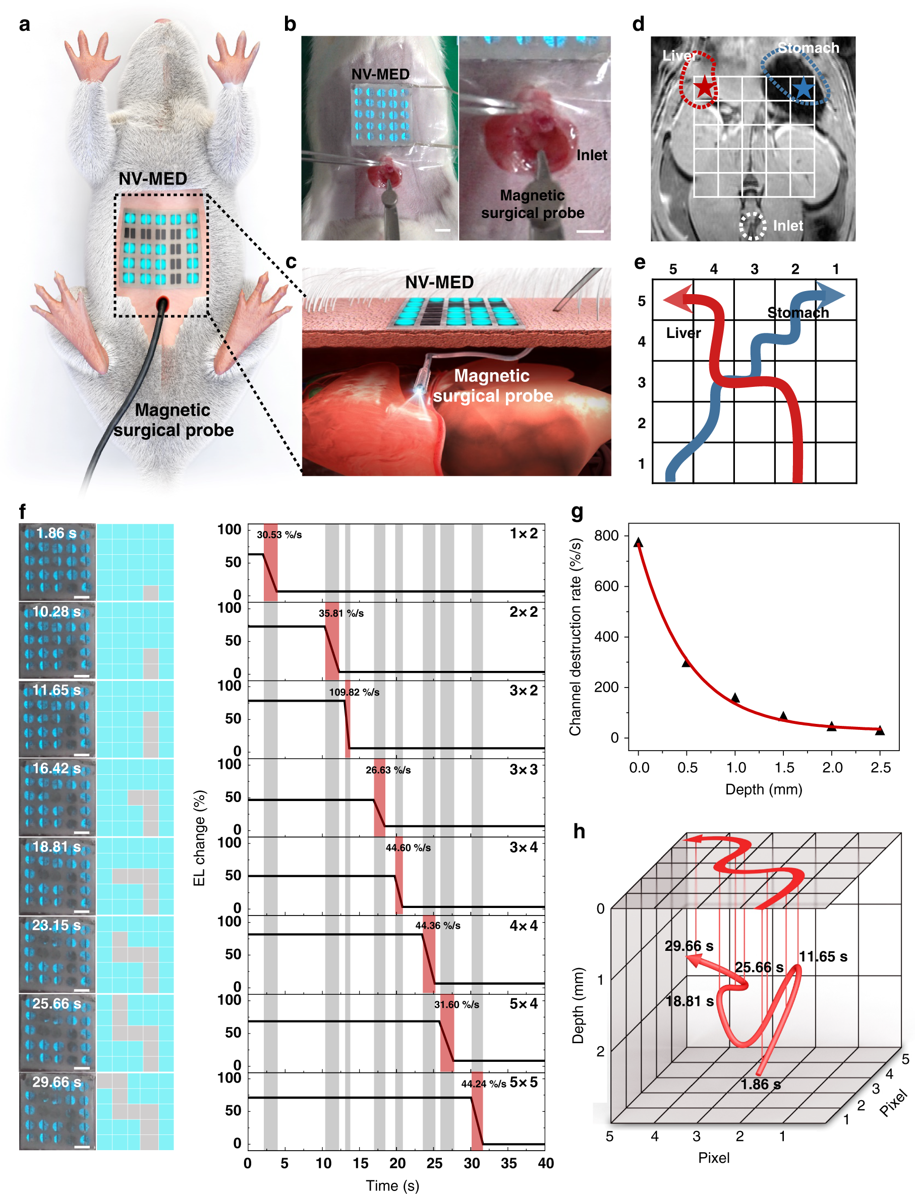 Fig. 4: Patchable 3D motion tracking NV-MED display.