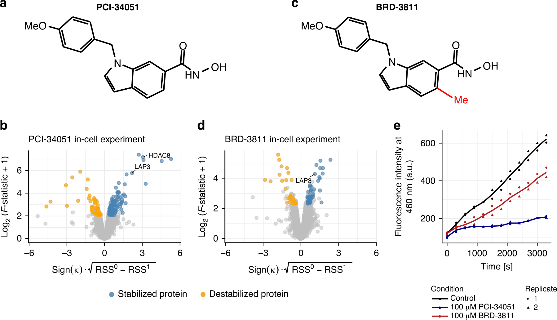 Fig. 4: DLPTP reveals LAP3 as a target of PCI-34051 and BRD-3811.