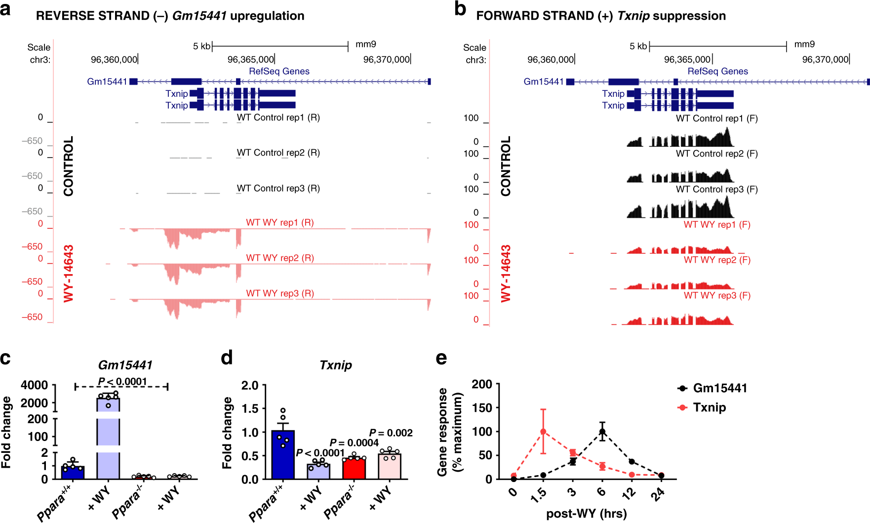Fig. 2: Txnip and lncRNA Gm15441 are inversely regulated following PPARα activation.
