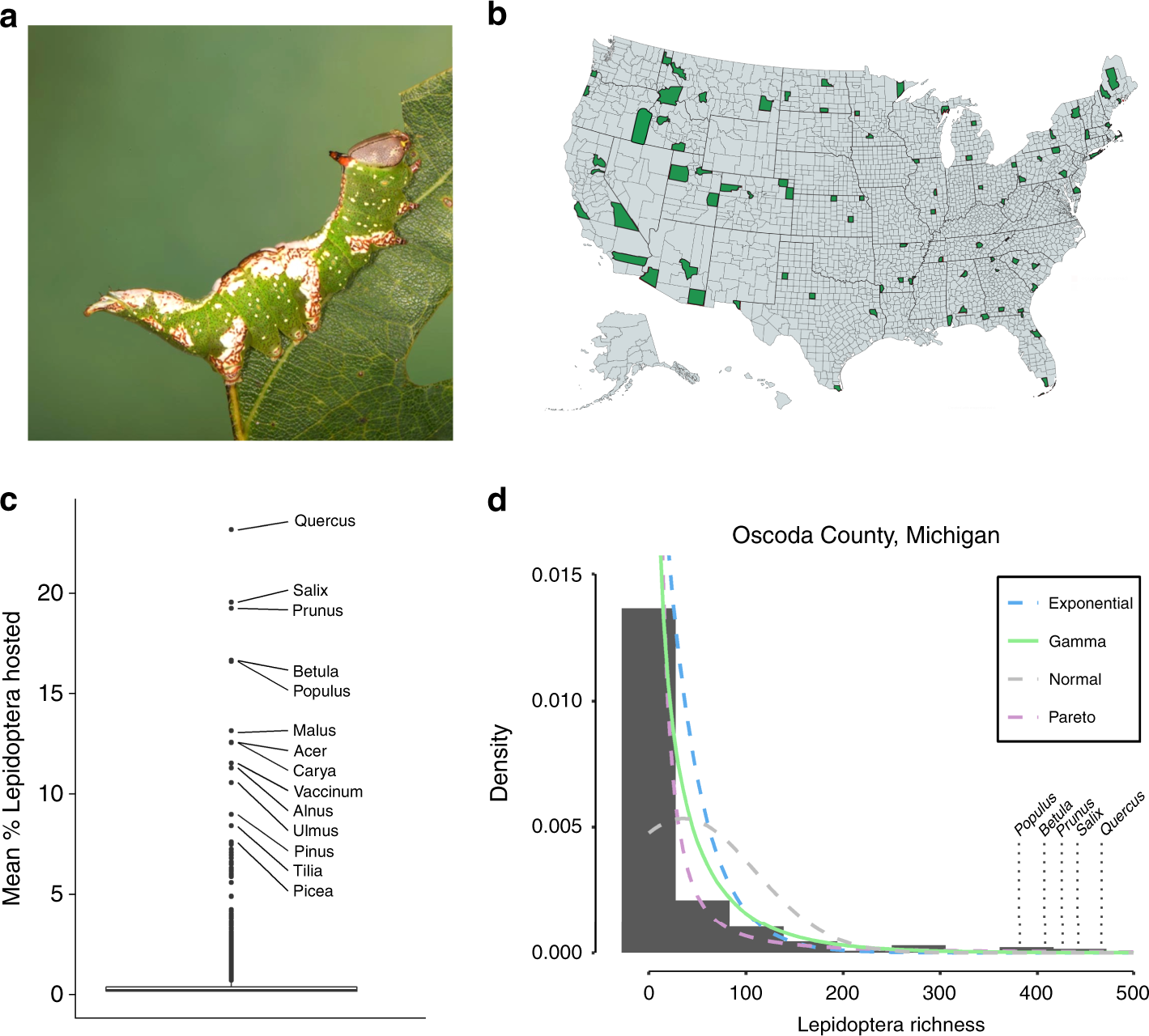 South Carolina Native Plant Society - In South Carolina, some of our keystone  species include native oaks and native cherries. These native plants are  host to many types of caterpillars that nourish