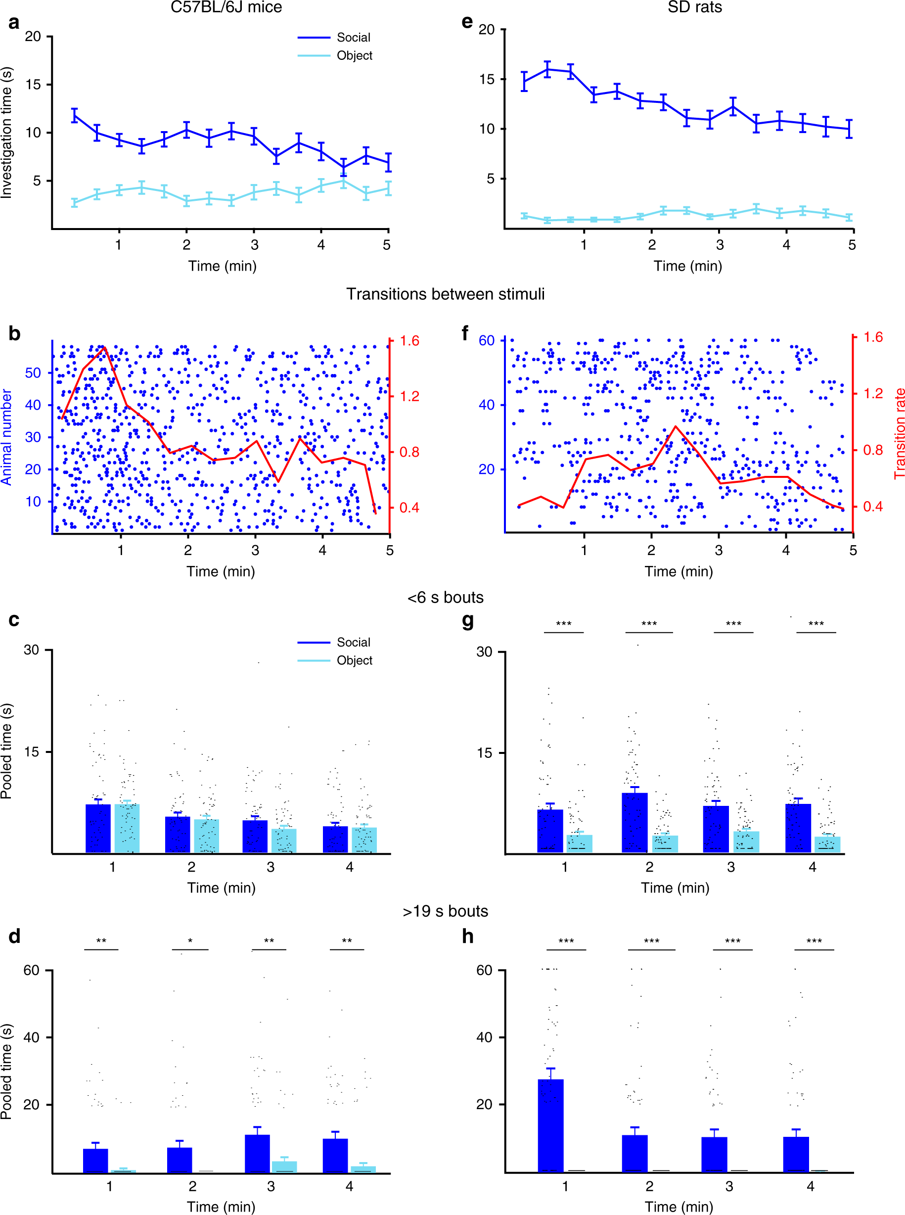 Distinct dynamics of social motivation drive differential social behavior  in laboratory rat and mouse strains | Nature Communications