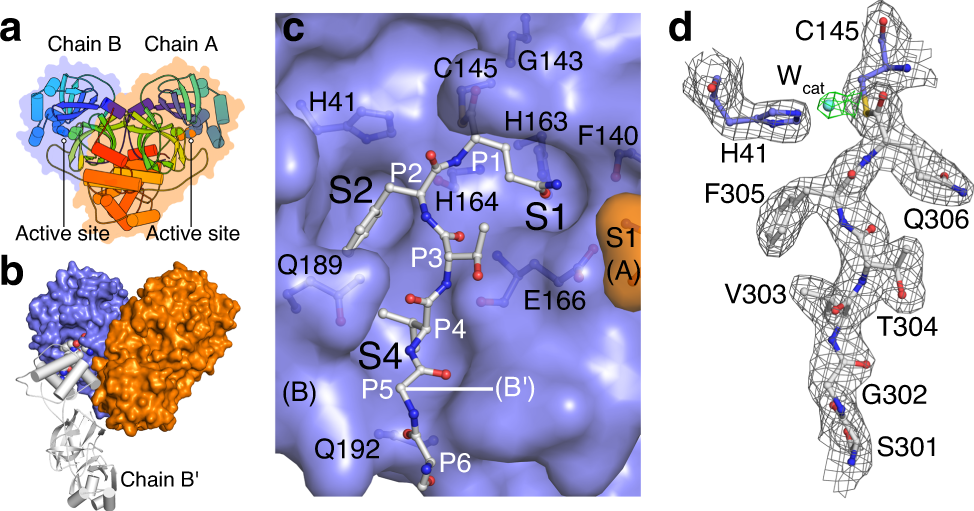 Potent Noncovalent Inhibitors of the Main Protease of SARS-CoV-2