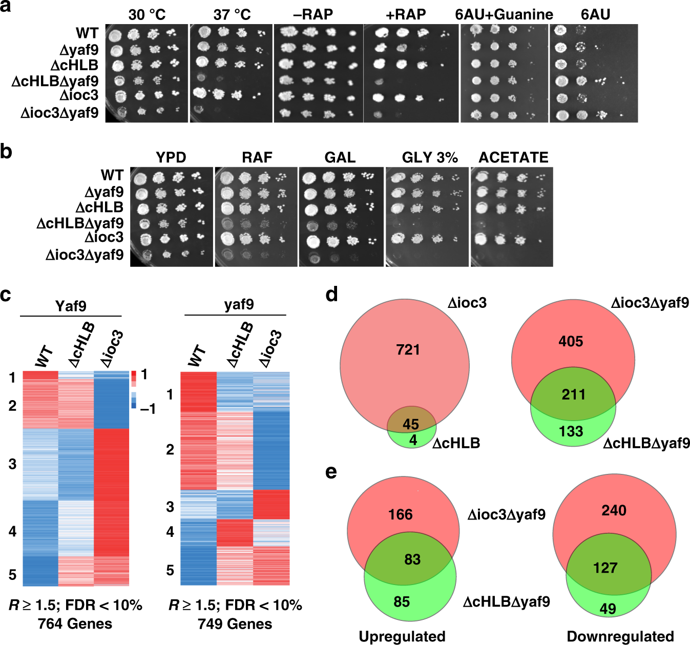Fig. 8: The HLB domain of Ioc3 is required for ISW1a to regulate transcription in conjunction with NuA4/SWR1.