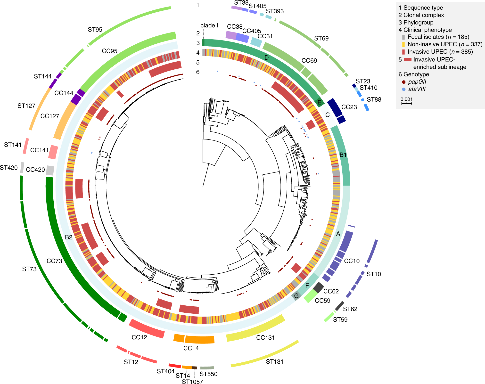 The defense island repertoire of the Escherichia coli pan-genome