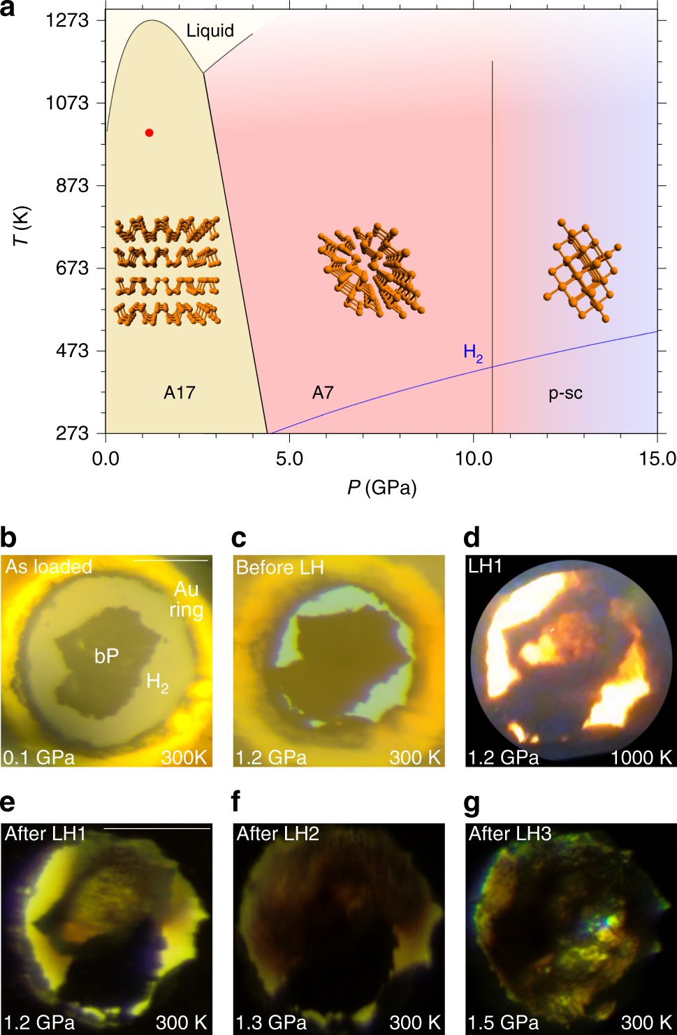 High pressure synthesis of phosphine from the elements and the discovery of  the missing (PH3)2H2 tile | Nature Communications