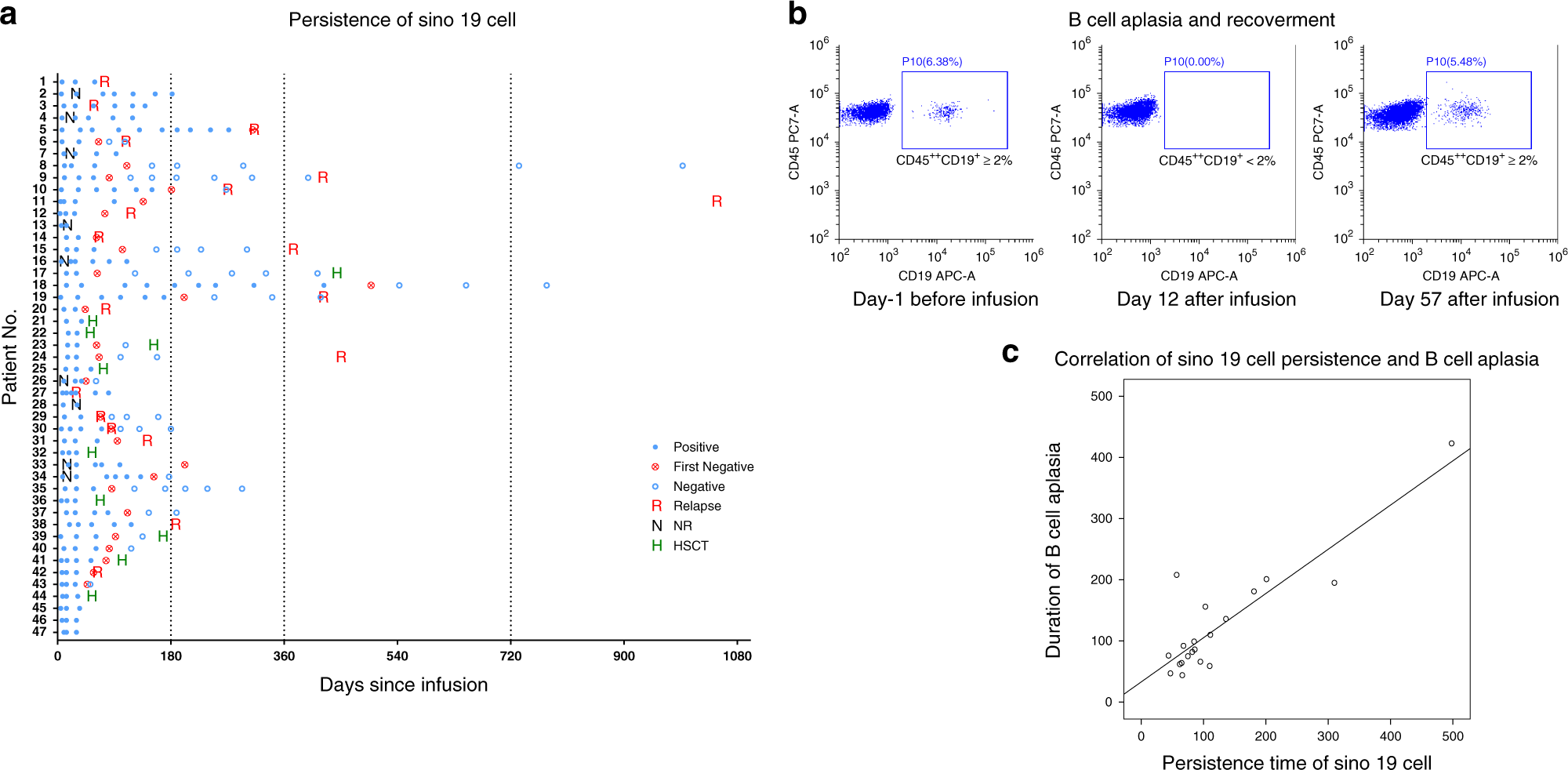Fig. 4: Persistence of Sino 19 cell and B-cell aplasia.