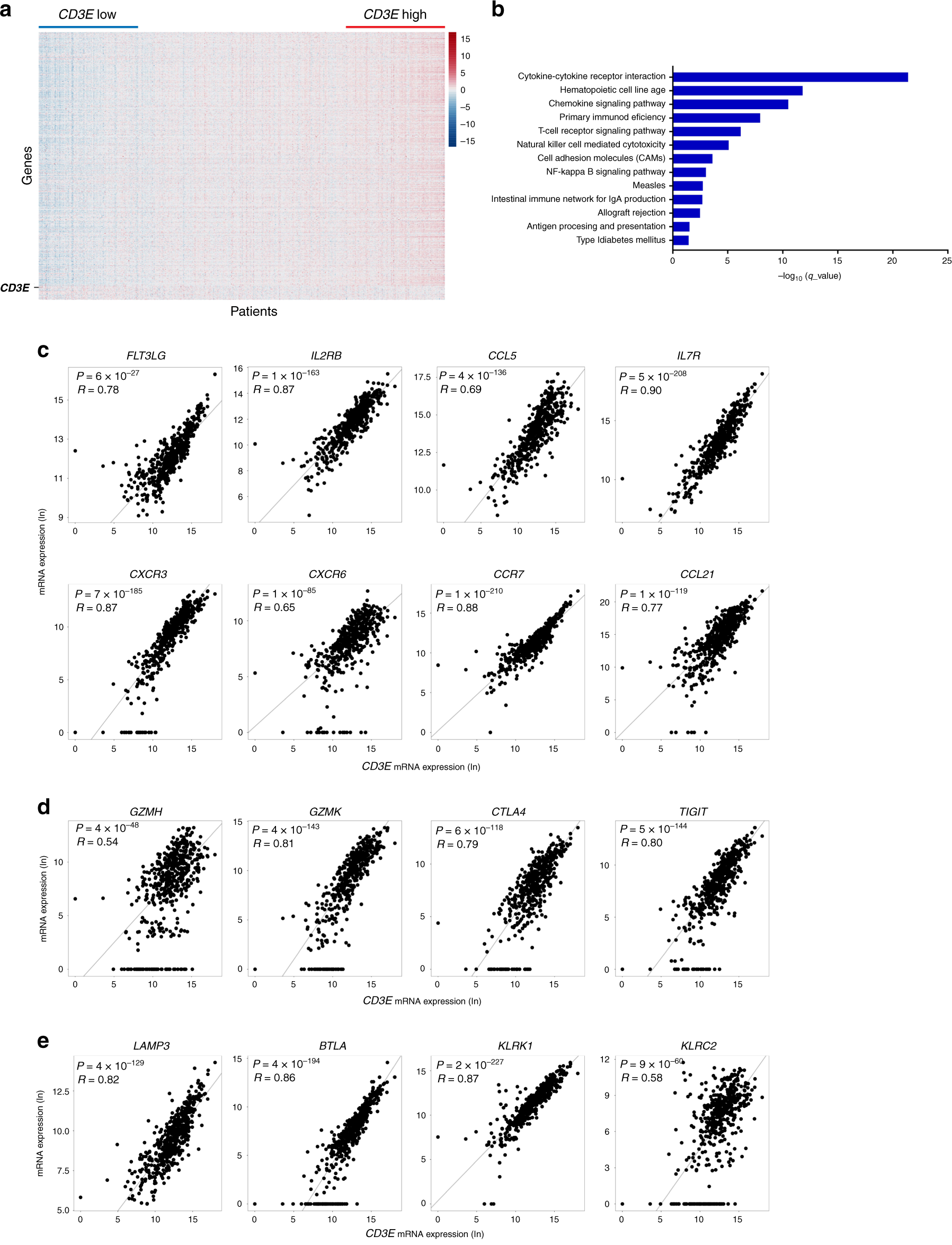 Fig. 1: CD3E expression is associated with antitumor immune responses in human neuroblastoma.