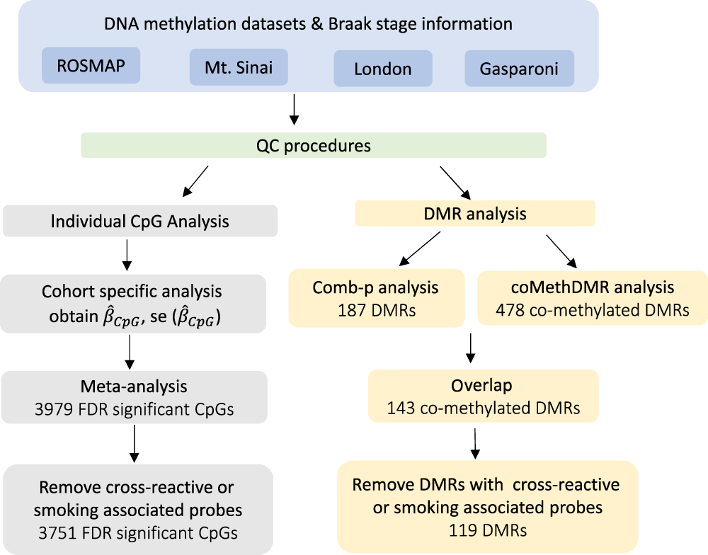 comprehensive meta analysis event rate inverse var