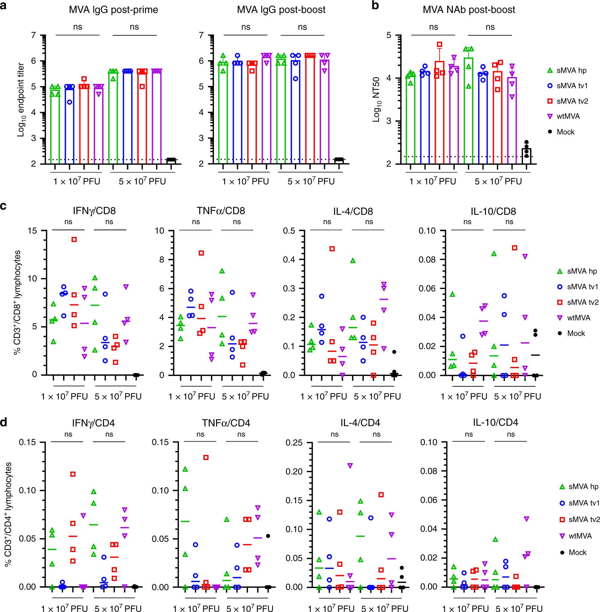Fig. 3: sMVA in vivo immunogenicity.