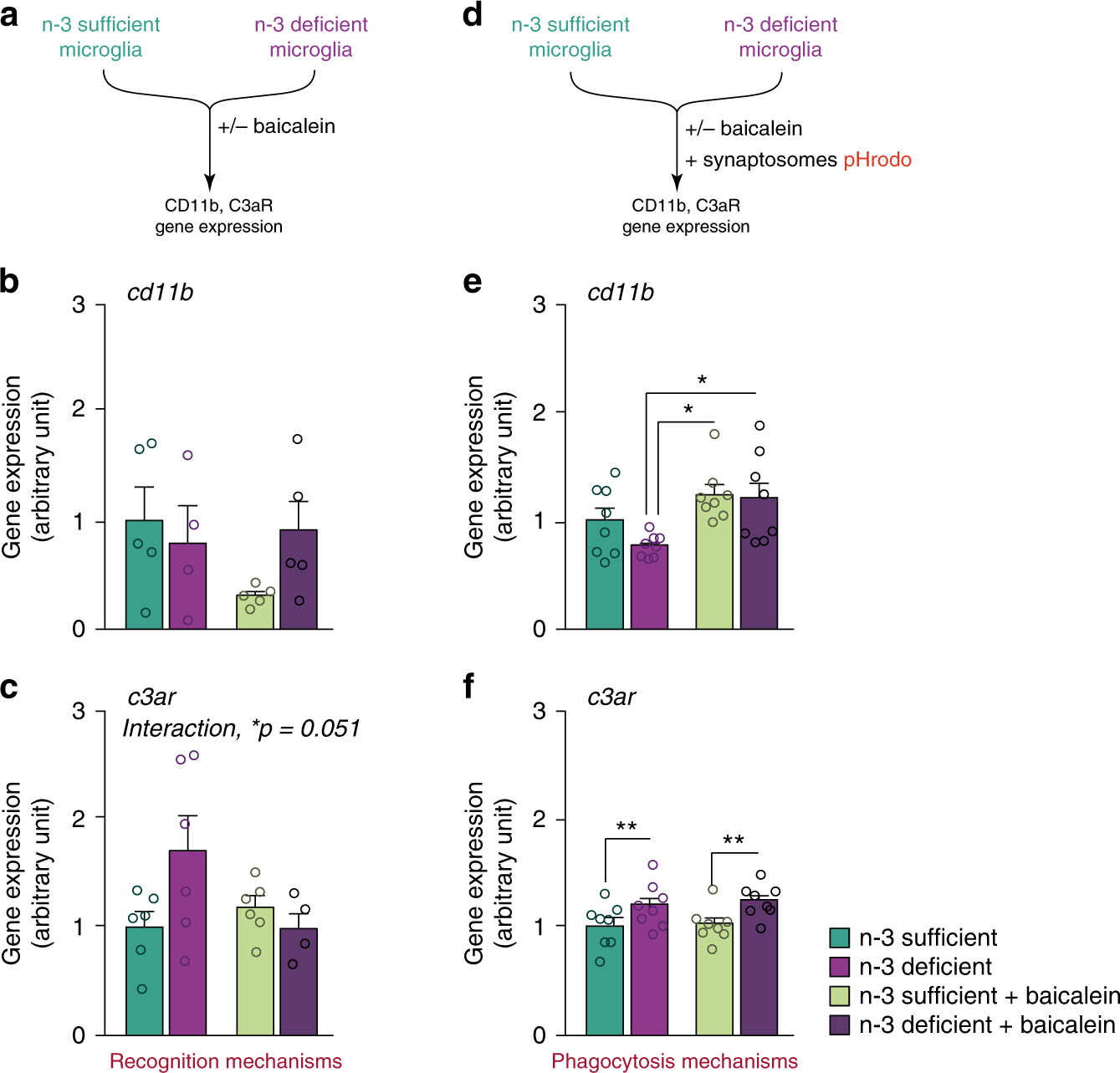Fig. 7: The 12/15-LOX/12-HETE signaling pathway controls gene expression of the complement pathway.