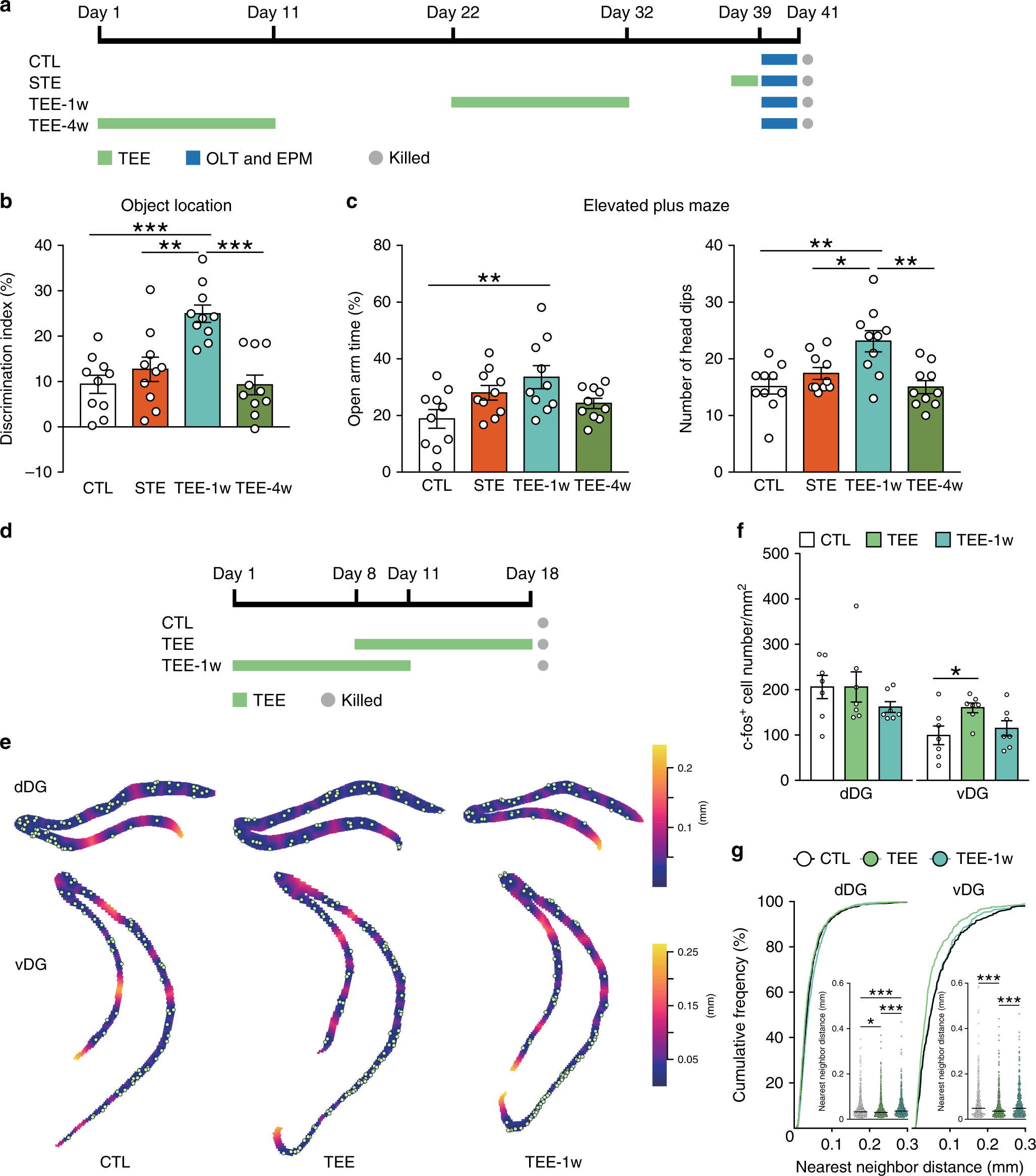 Fig. 3: Temporal effects of tactile enrichment on behavior and DG neuron activation.