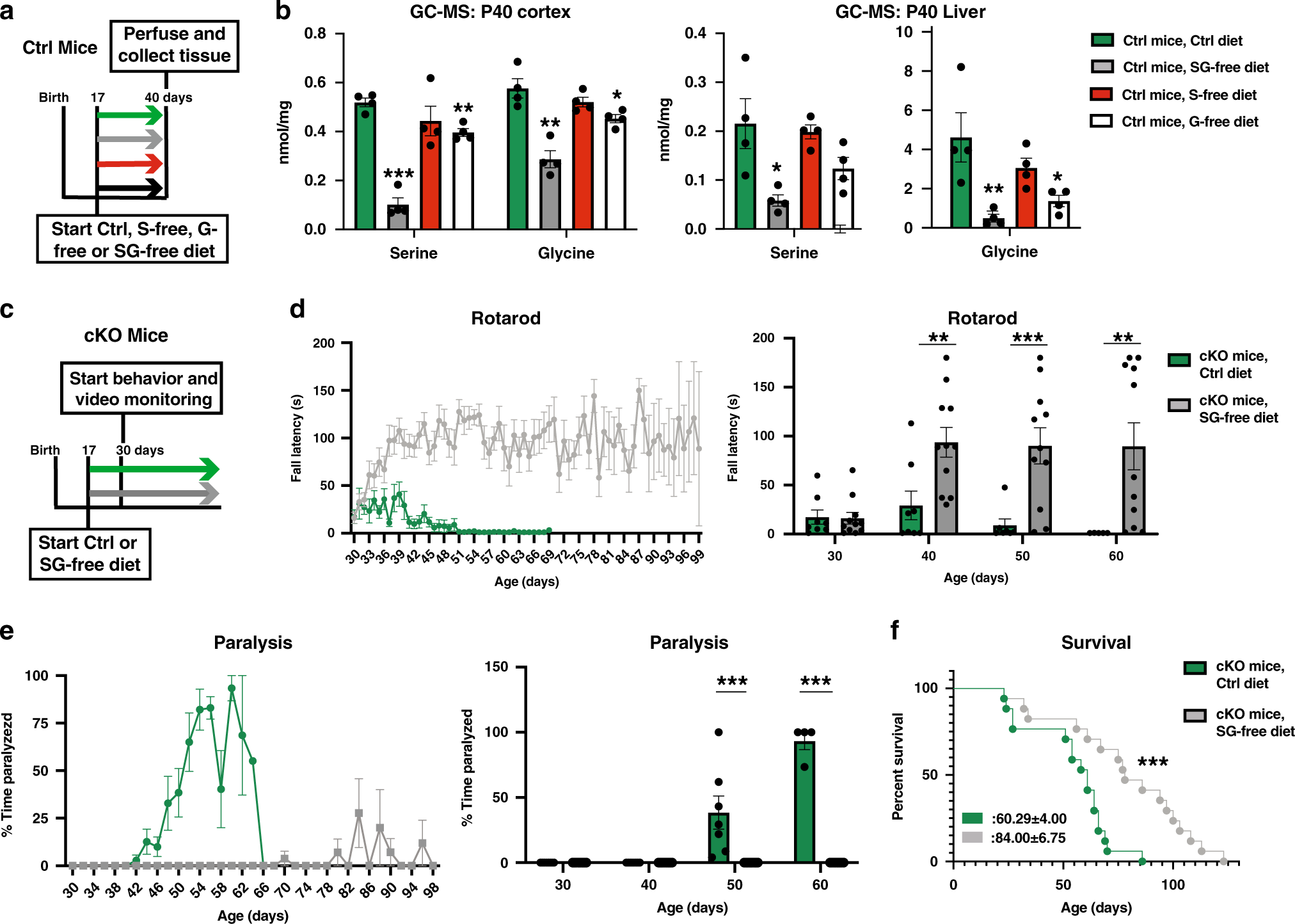 Fig. 6: Serine- and glycine-free diet reverses motor paralysis and ataxia in conditional α2-Na/K ATPase knockout mice.
