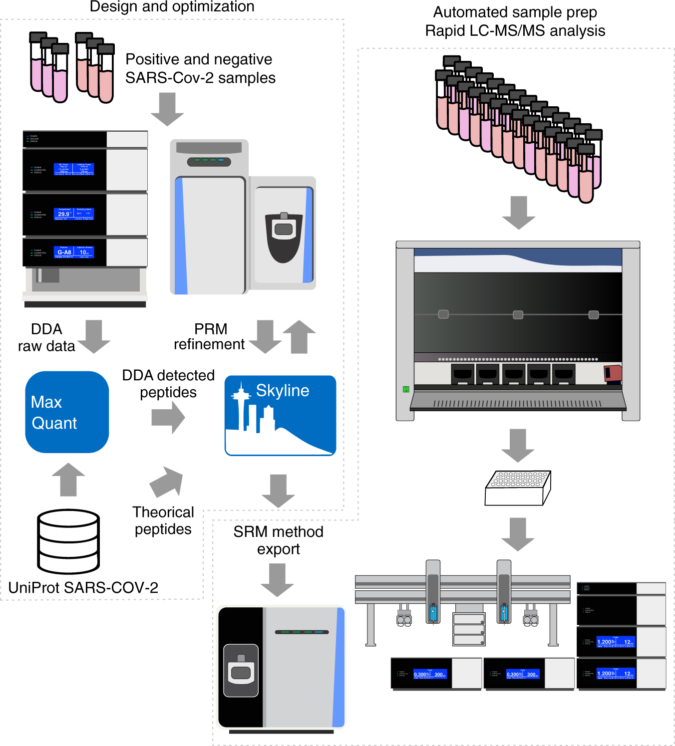 Welcome to ElixerMD: Your Hub for Research Insights, Peptide Education, and Lab-Focused Articles 4 https://media.springernature.com/full/springer-static/image/art%3A10.1038%2Fs41467-020-19925-0/MediaObjects/41467_2020_19925_Fig1_HTML.png?utm_source=chatgpt.com