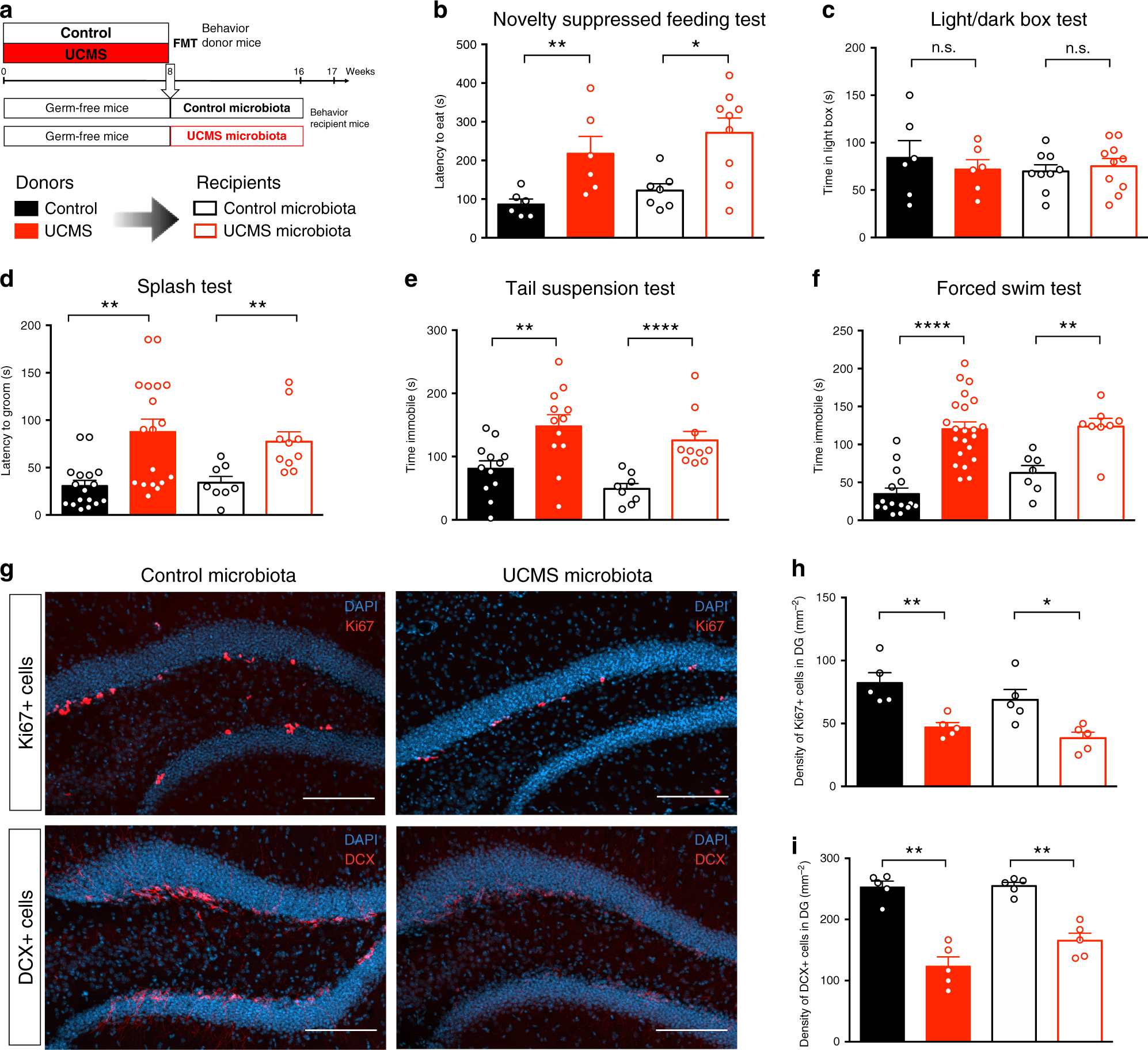 Effect Of Gut Microbiota On Depressive Like Behaviors In Mice Is Mediated By The Endocannabinoid System Nature Communications