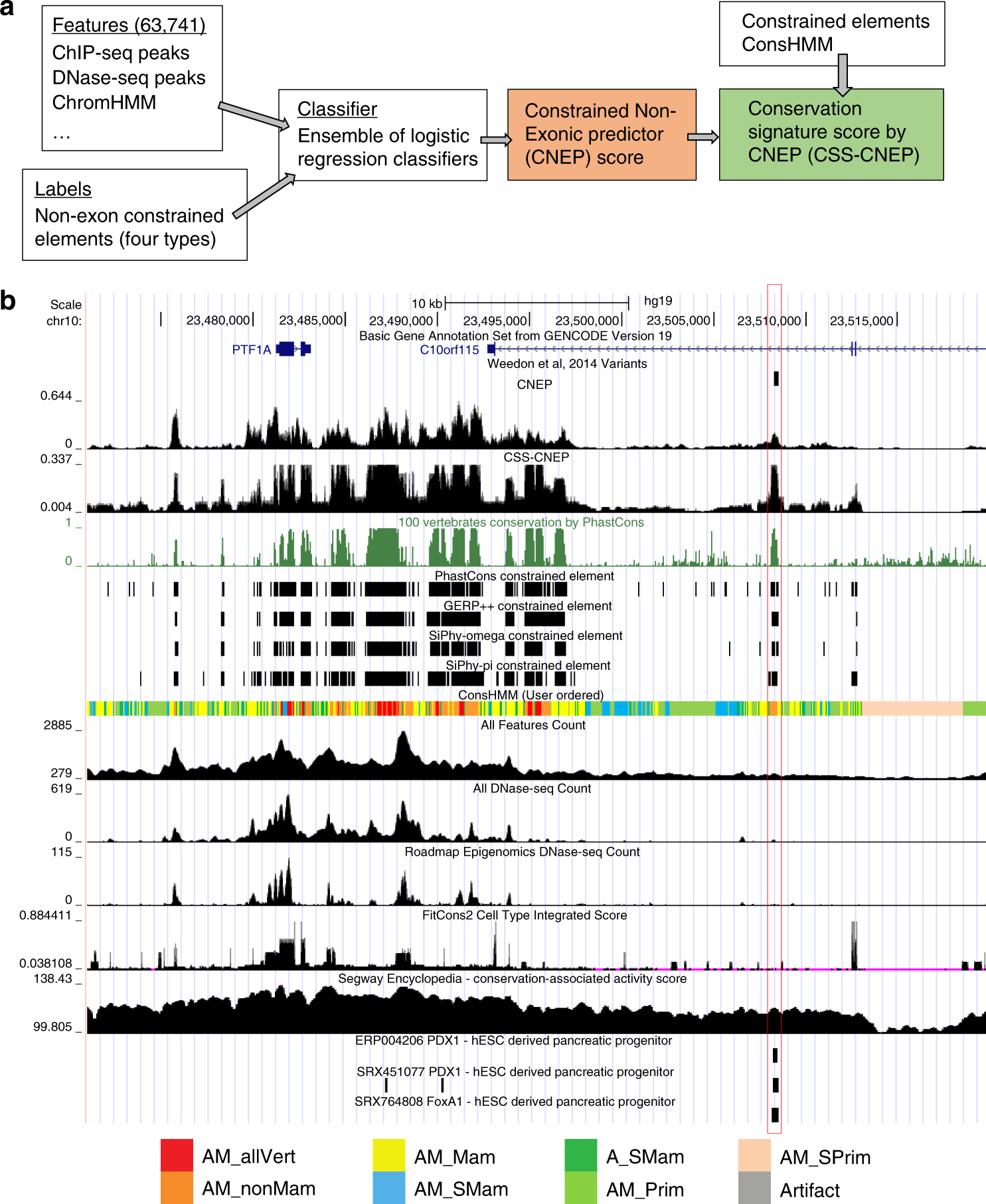 Identification And Characterization Of Constrained Non Exonic Bases Lacking Predictive Epigenomic And Transcription Factor Binding Annotations Nature Communications