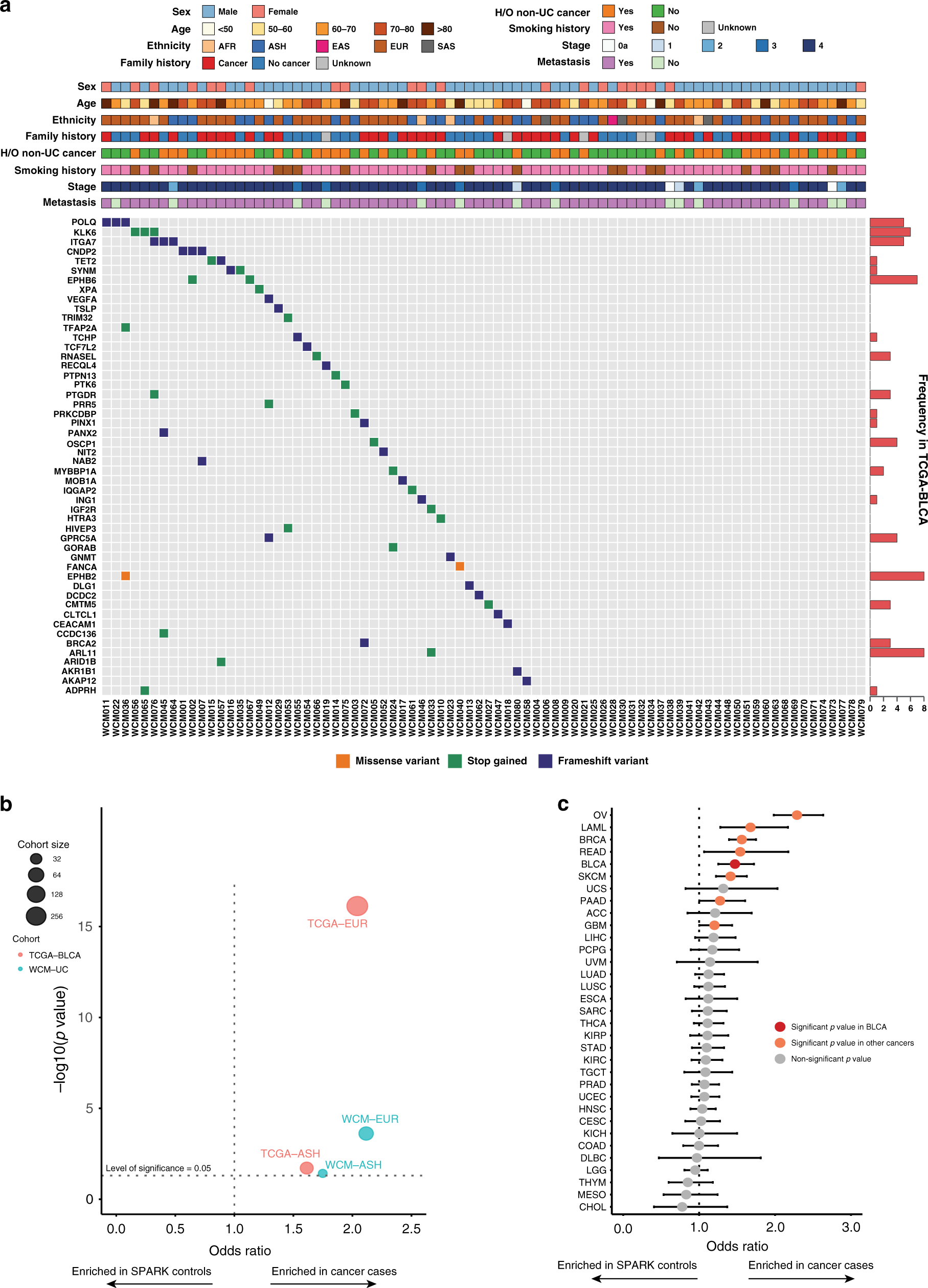 Fig. 2: Putative deleterious germline variants are common in urothelial cancer patients.