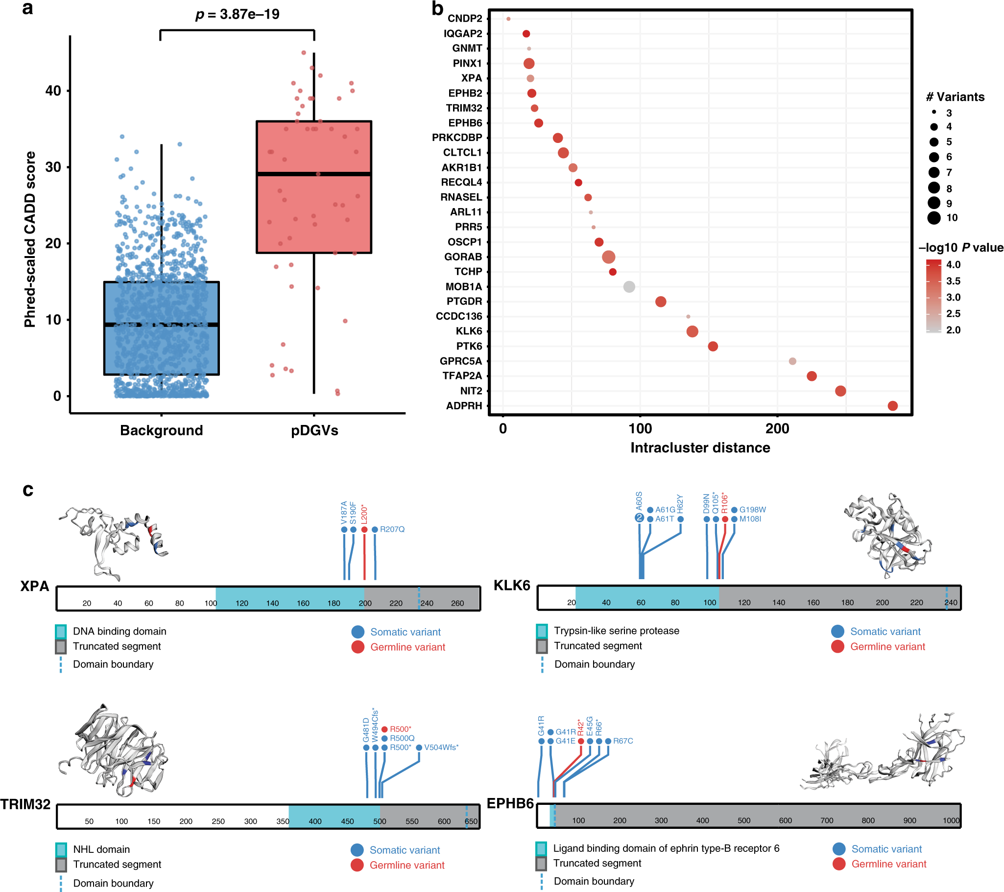 Fig. 3: The impact of pDGVs on protein function.
