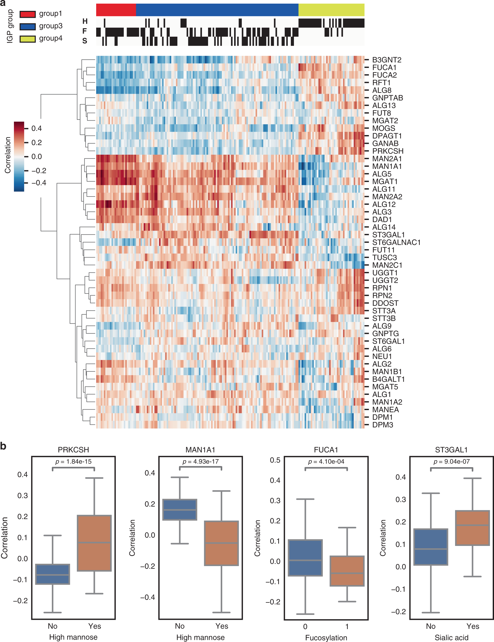 Fig. 6: Heatmap of expression correlation between N-linked glycosylation enzyme and intact glycopeptides with different glycans.