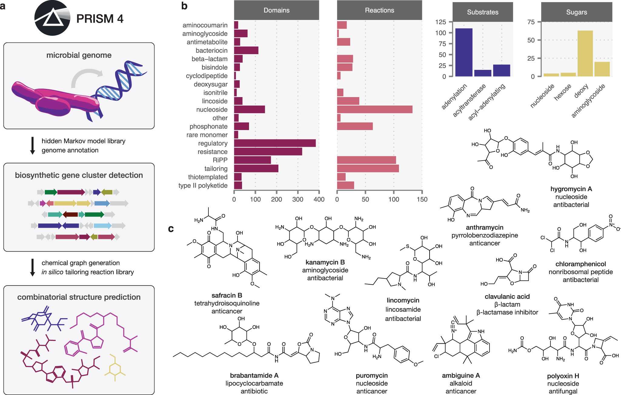 Comprehensive prediction of secondary metabolite structure and biological  activity from microbial genome sequences | Nature Communications