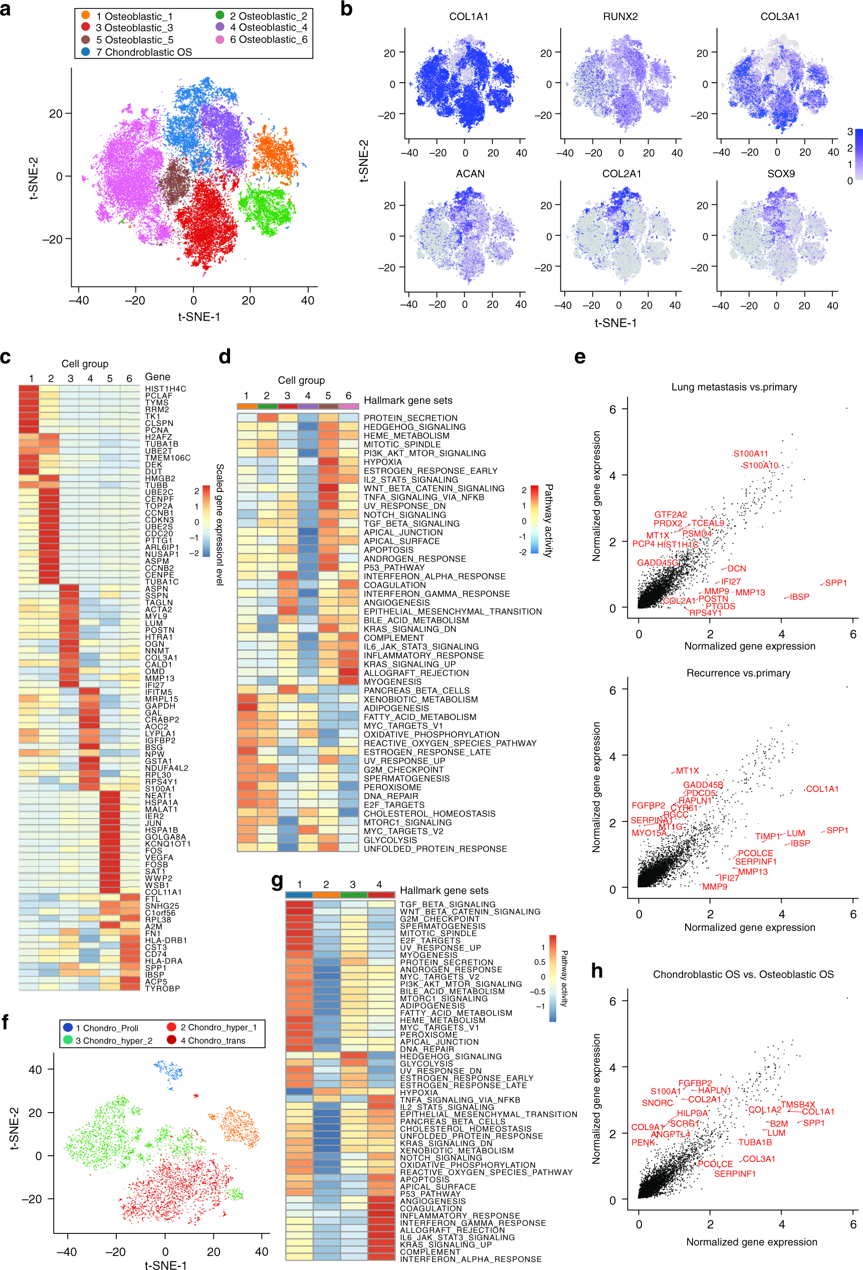Fig. 2: Distinct clusters of malignant cells in OS lesions.