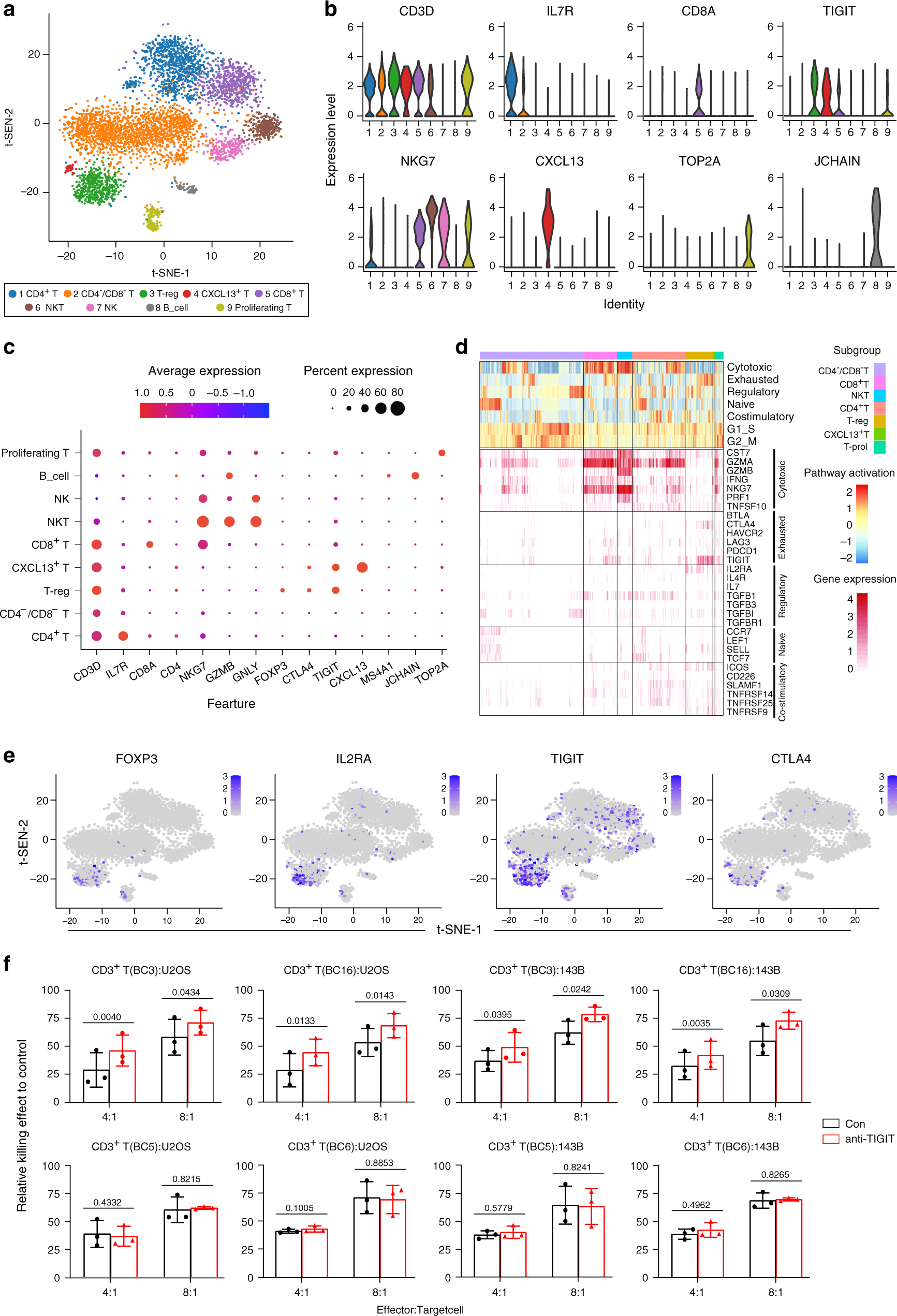 Fig. 7: Cell clustering and functional annotation of tumor-infiltrating lymphocytes (TILs) in OS lesions.